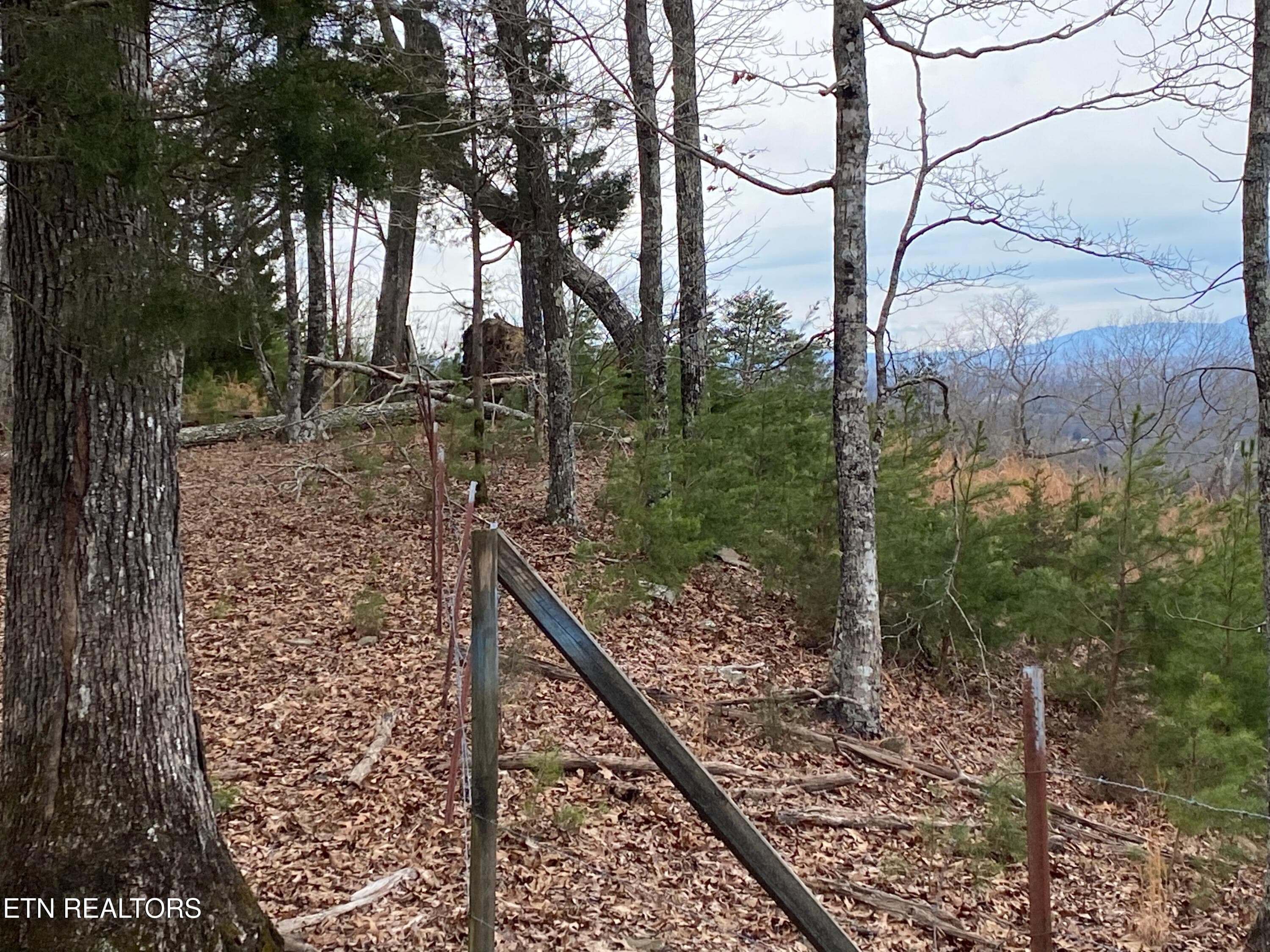 IMG_20260819_133640 - Dark Hollow Rd, Andersonville, TN 37705