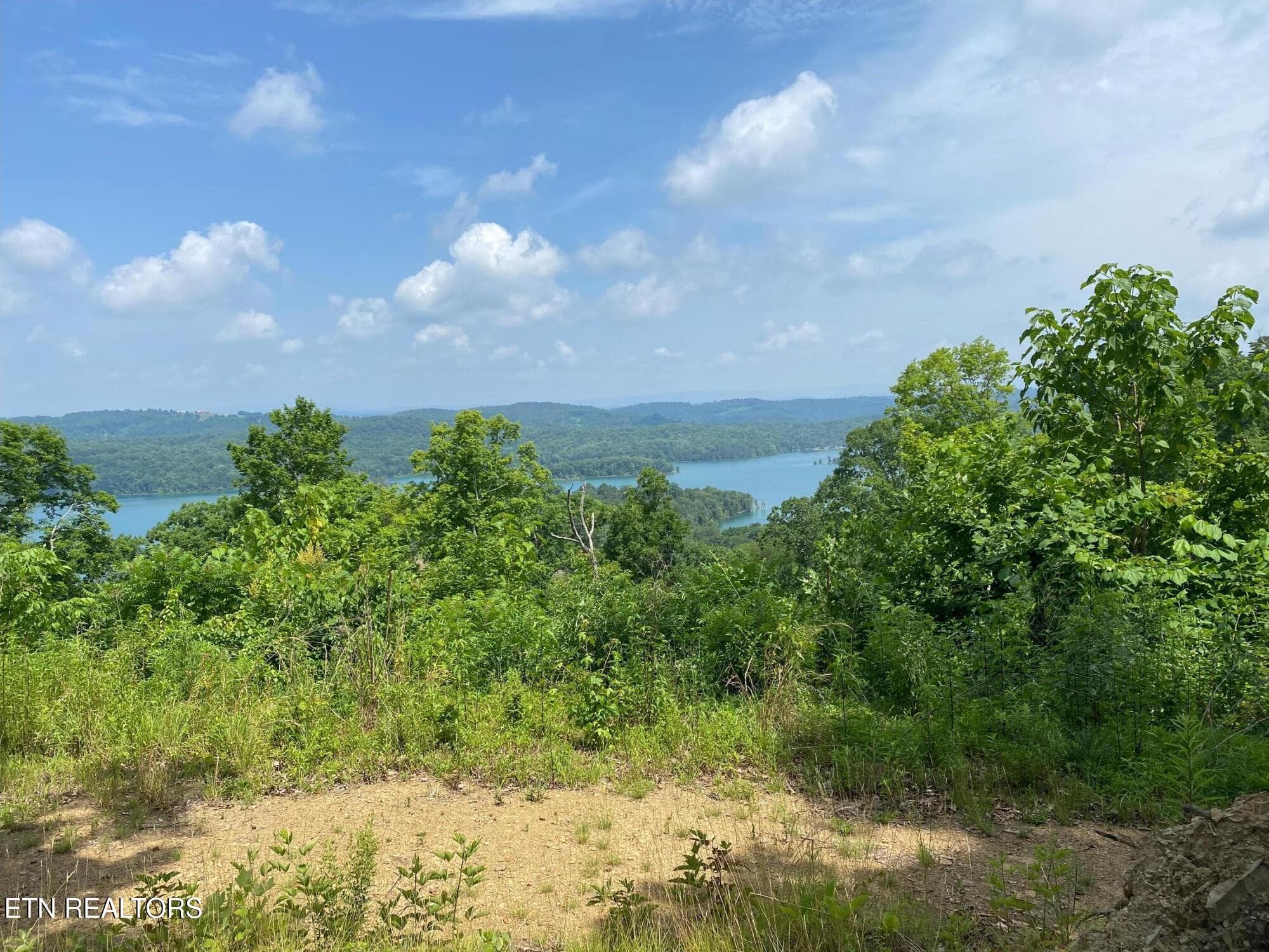 IMG_20260819_133631 - Dark Hollow Rd, Andersonville, TN 37705