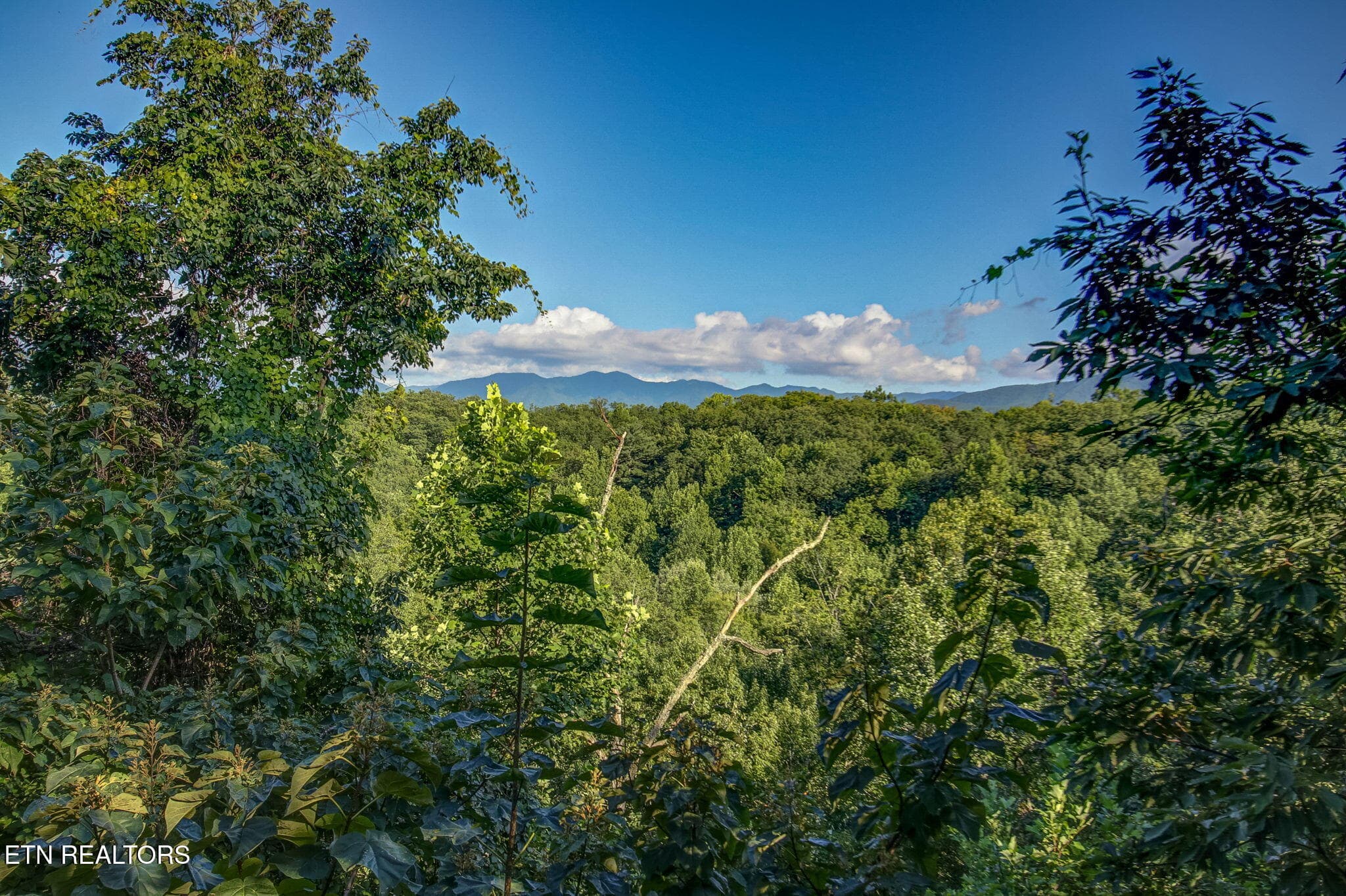homesandvideos 826-371 - 2053 Settlers Ridge Way, Gatlinburg, TN 37738, Gatlinburg