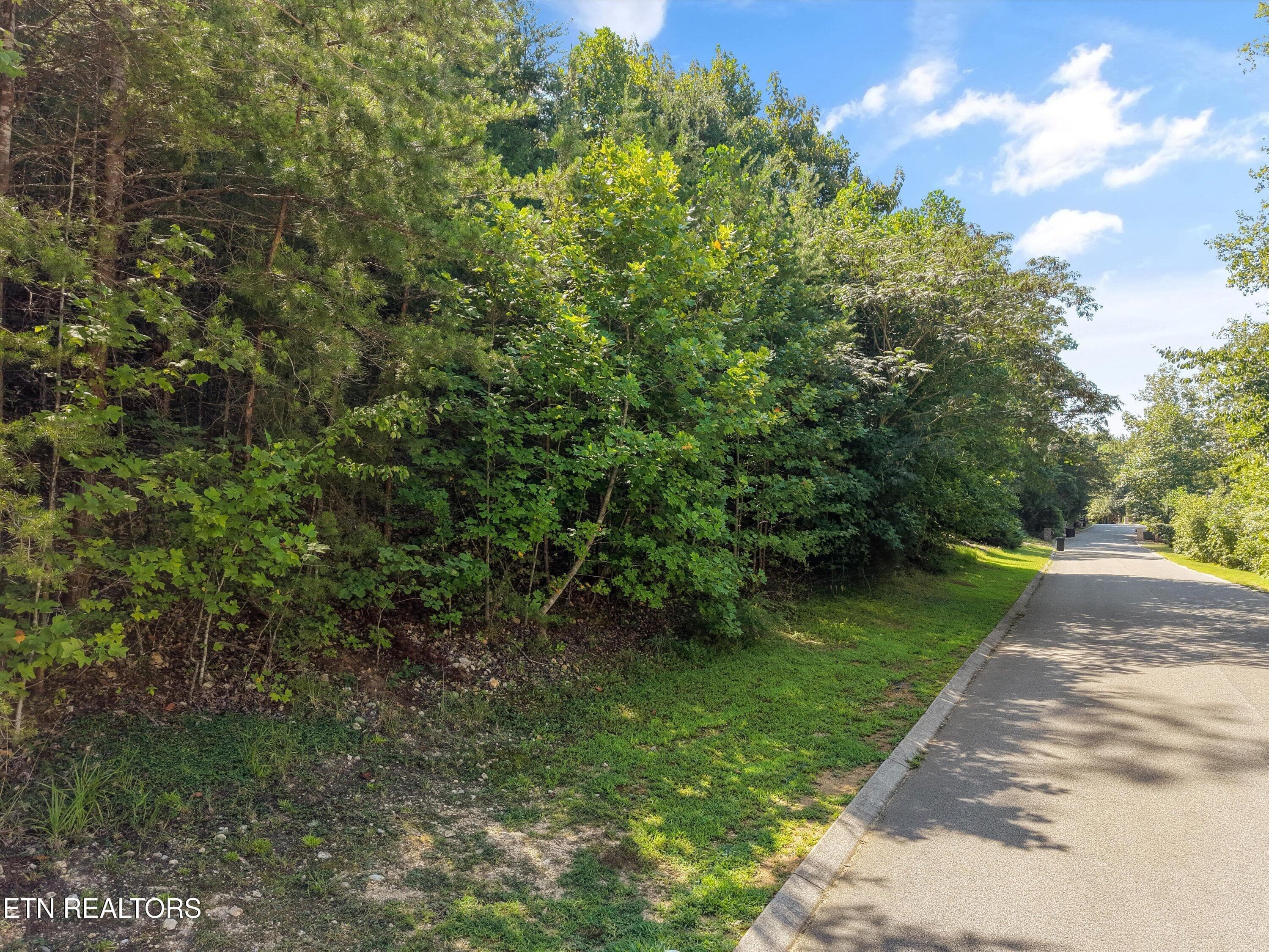 Lot 161 The Battery - Lot 161, The Battery, Kingston, TN 37763