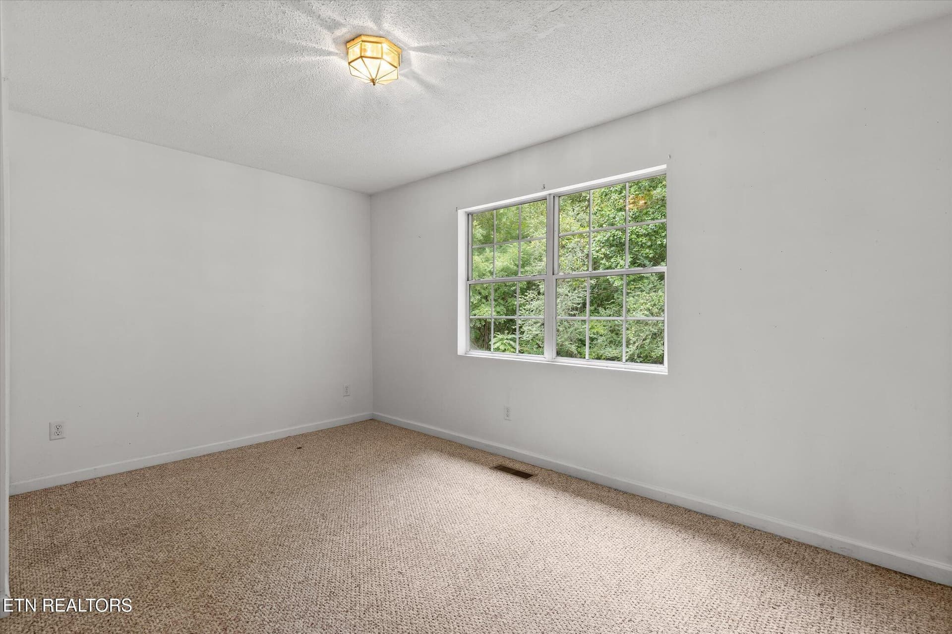 52-14319 Bluffview-17 - 14319 Bluffview Drive, Birchwood, TN 37308