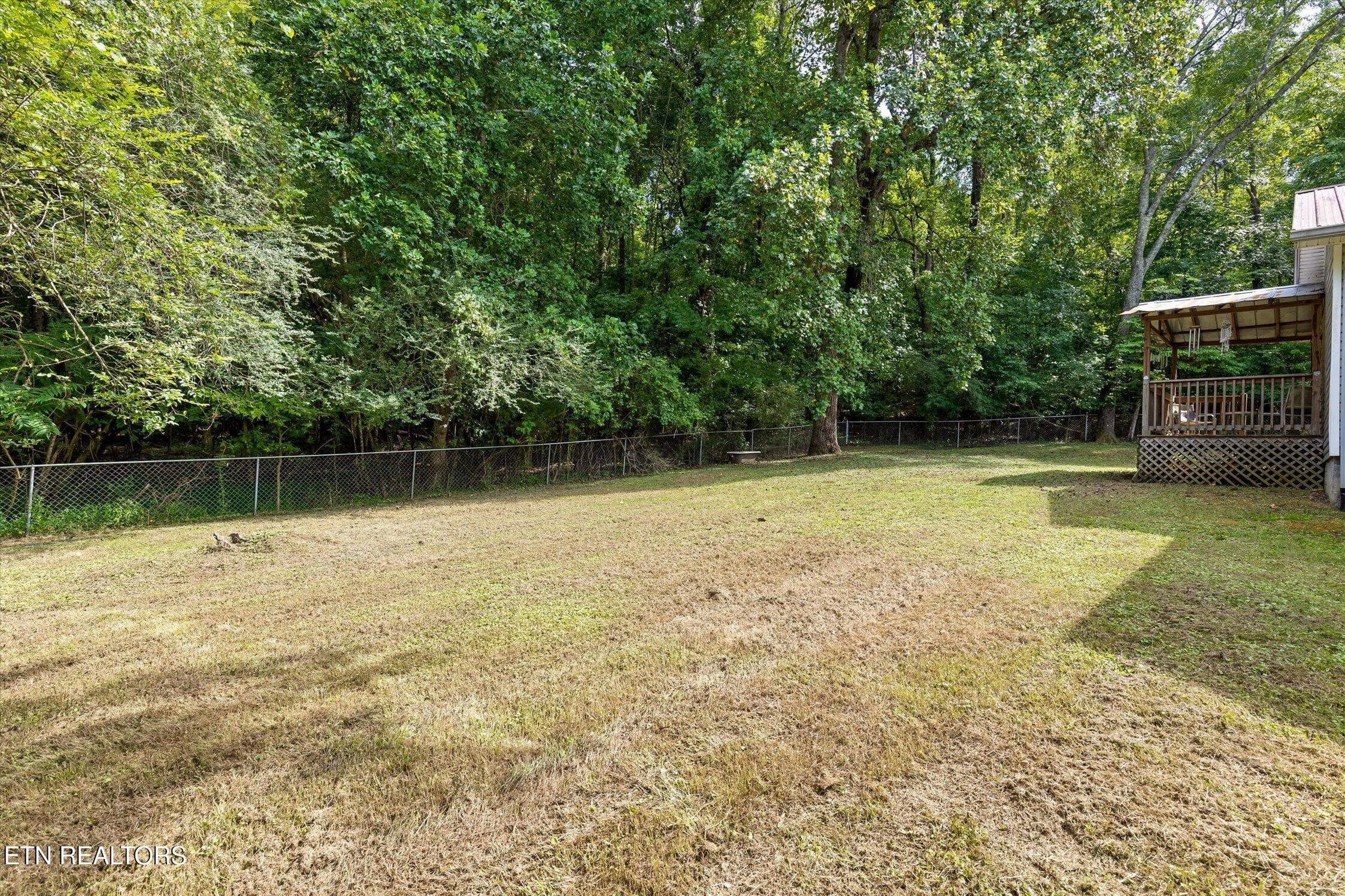 09-14319 Bluffview-37 - 14319 Bluffview Drive, Birchwood, TN 37308, Birchwood