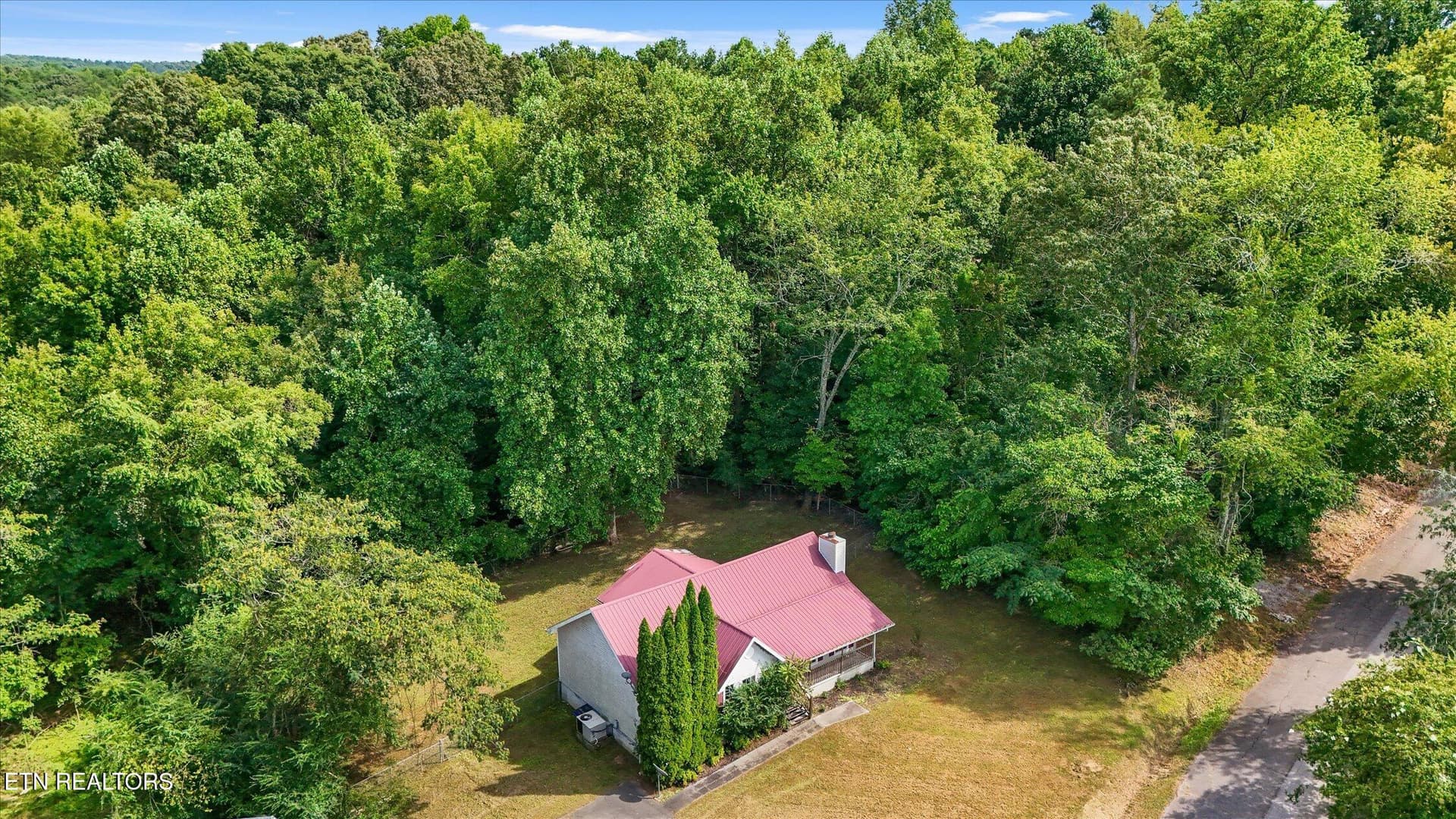 23-14319 Bluffview-51 - 14319 Bluffview Drive, Birchwood, TN 37308