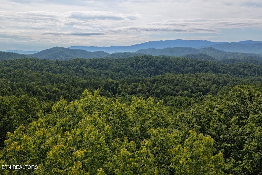Shady Oaks Way, Sevierville, TN 37876