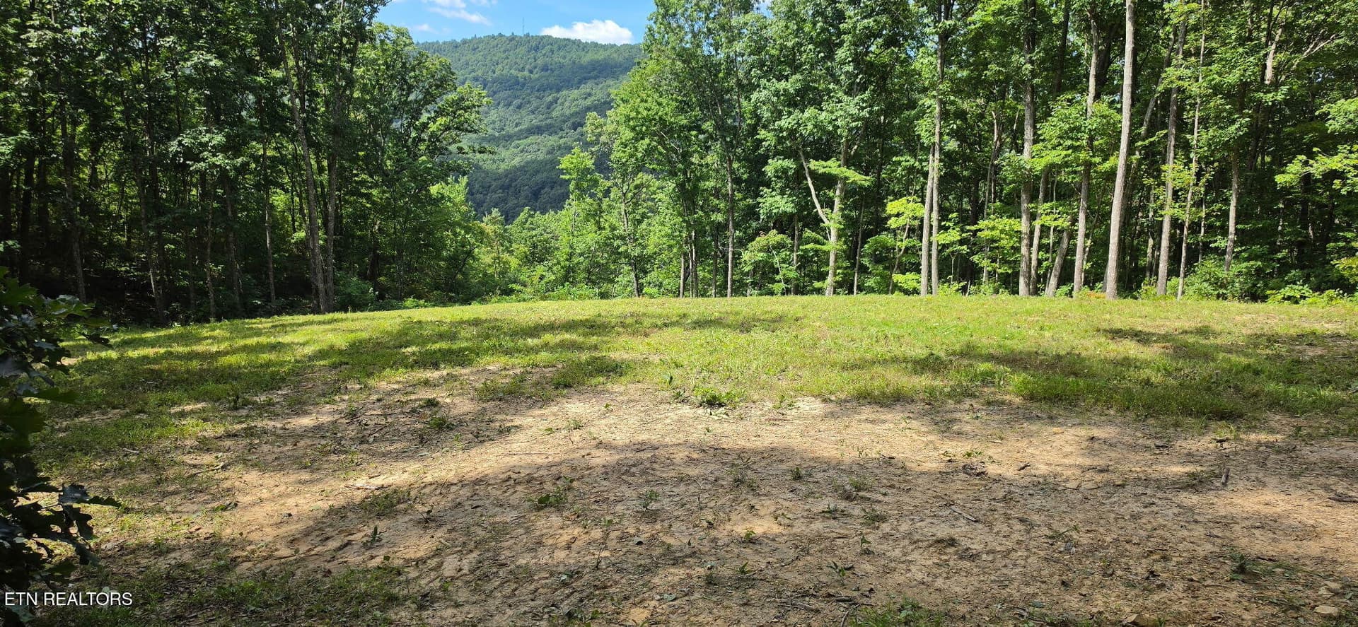 300 - 183 Persimmon Lane, Pioneer, TN 37847