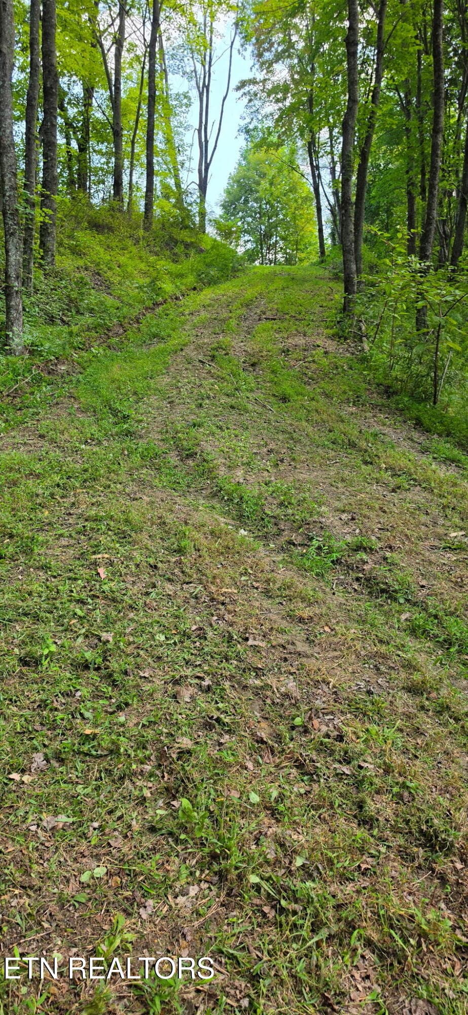 302 (1) - 183 Persimmon Lane, Pioneer, TN 37847, Pioneer