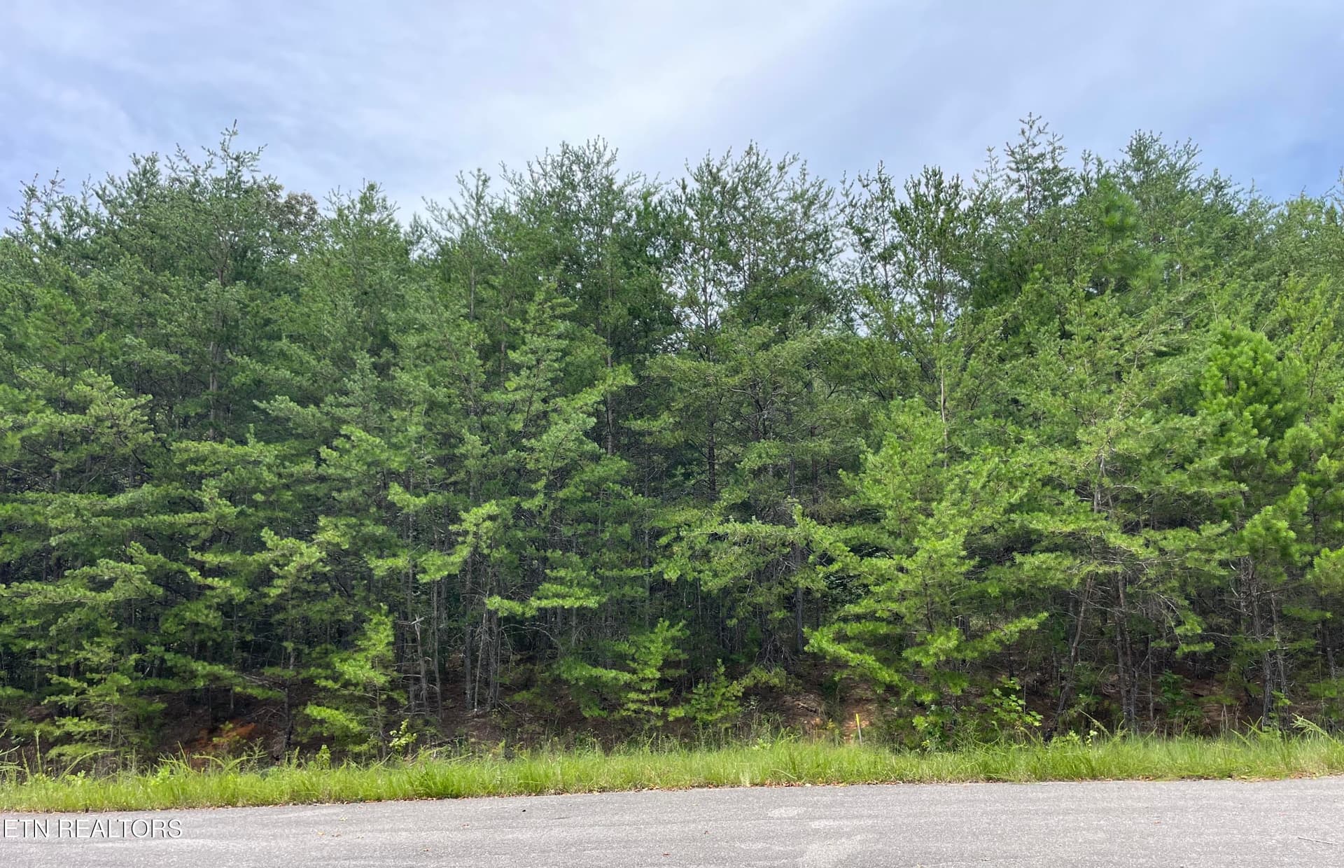 742 White Dogwood Drive, Newport, TN 37821