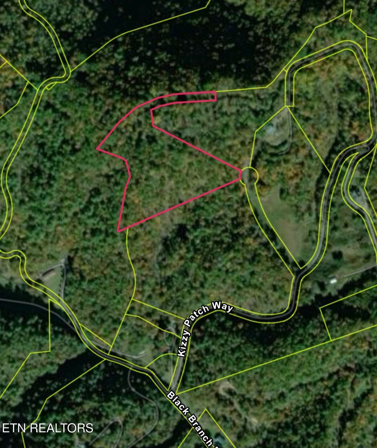 285A5CBA-21E6-41CF-A632-CE6152E7EC24 - 000 Kizzy Patch Way, Del Rio, TN 37727