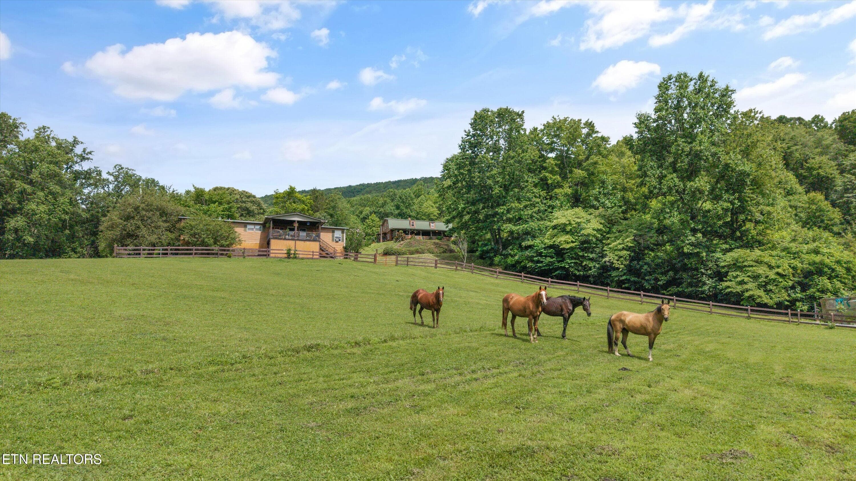 041-518 Buell Rd-029 - 518 Buell Rd, Sneedville, TN 37869