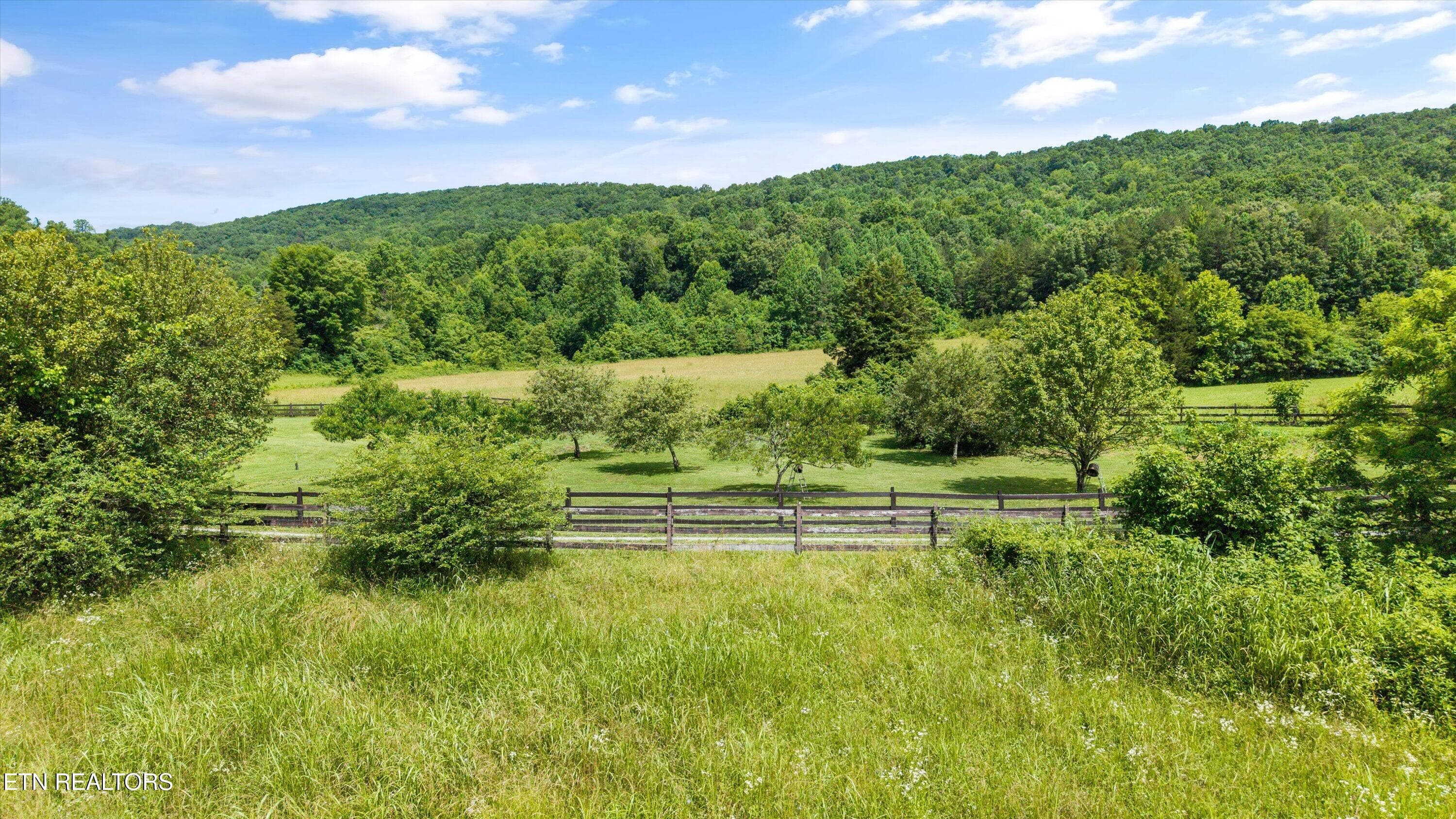 042-518 Buell Rd-031 - 518 Buell Rd, Sneedville, TN 37869