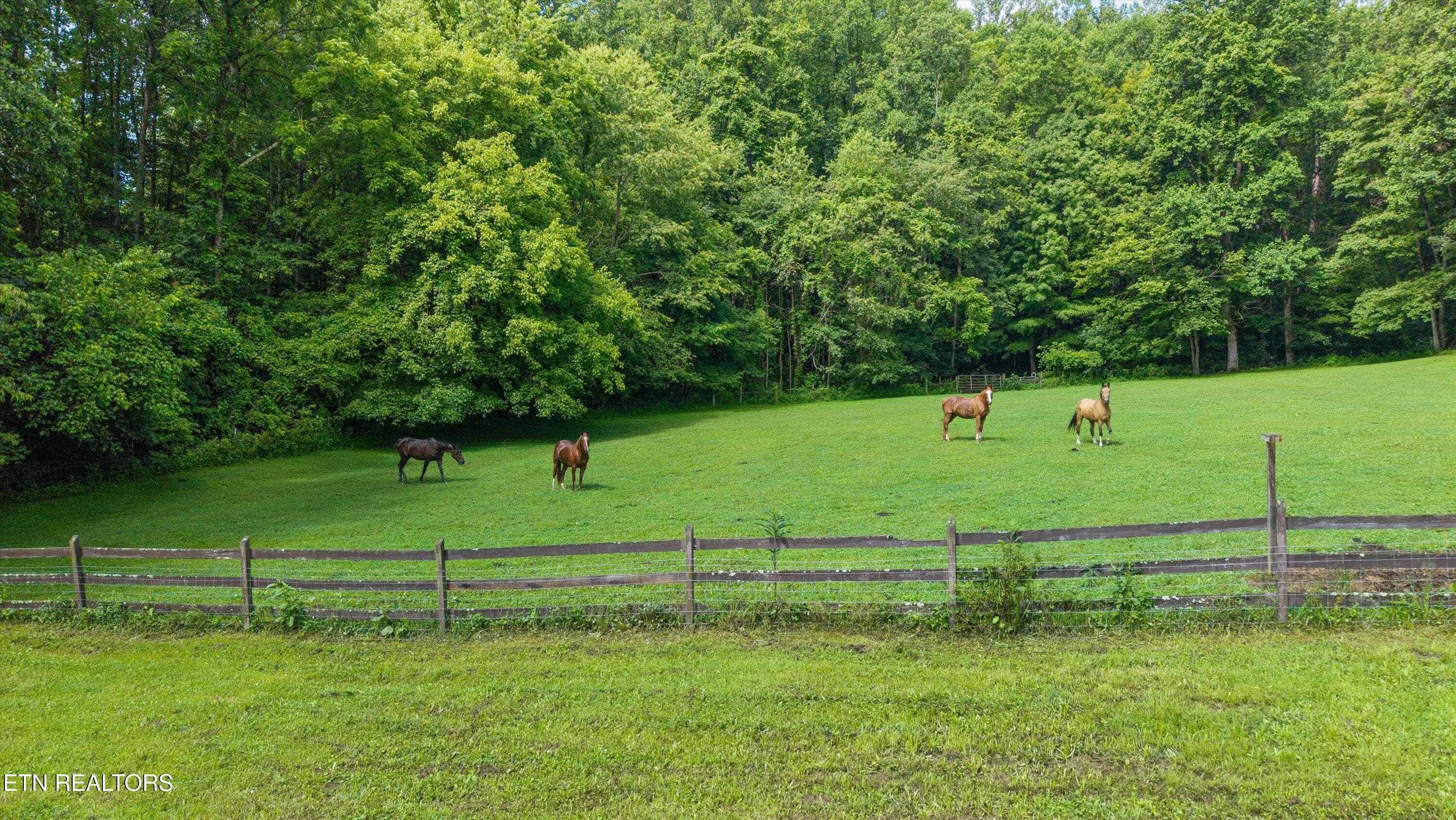 052-518 Buell Rd-018 - 518 Buell Rd, Sneedville, TN 37869