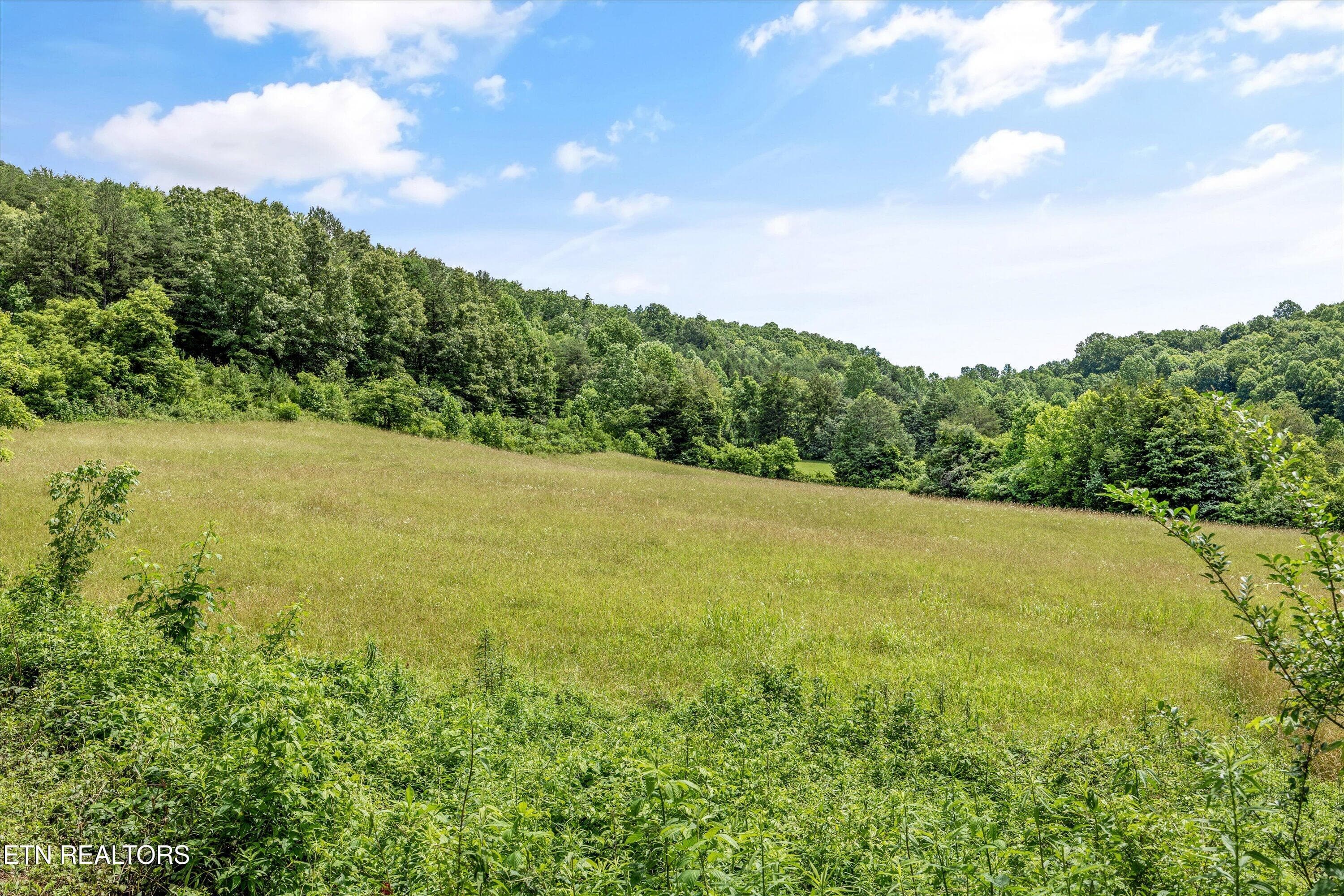 079-518 Buell Rd-086 - 518 Buell Rd, Sneedville, TN 37869
