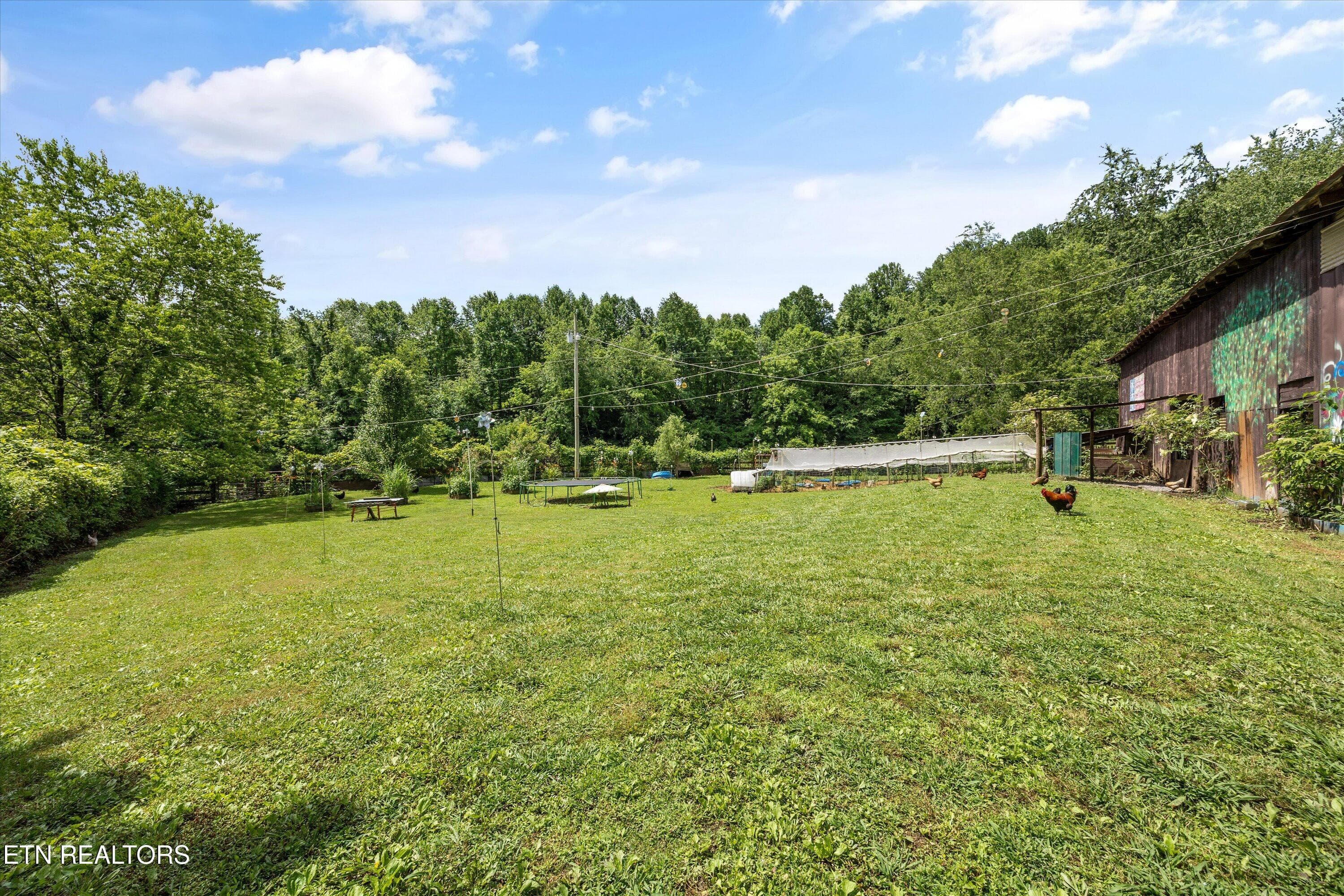 081-518 Buell Rd-088 - 518 Buell Rd, Sneedville, TN 37869