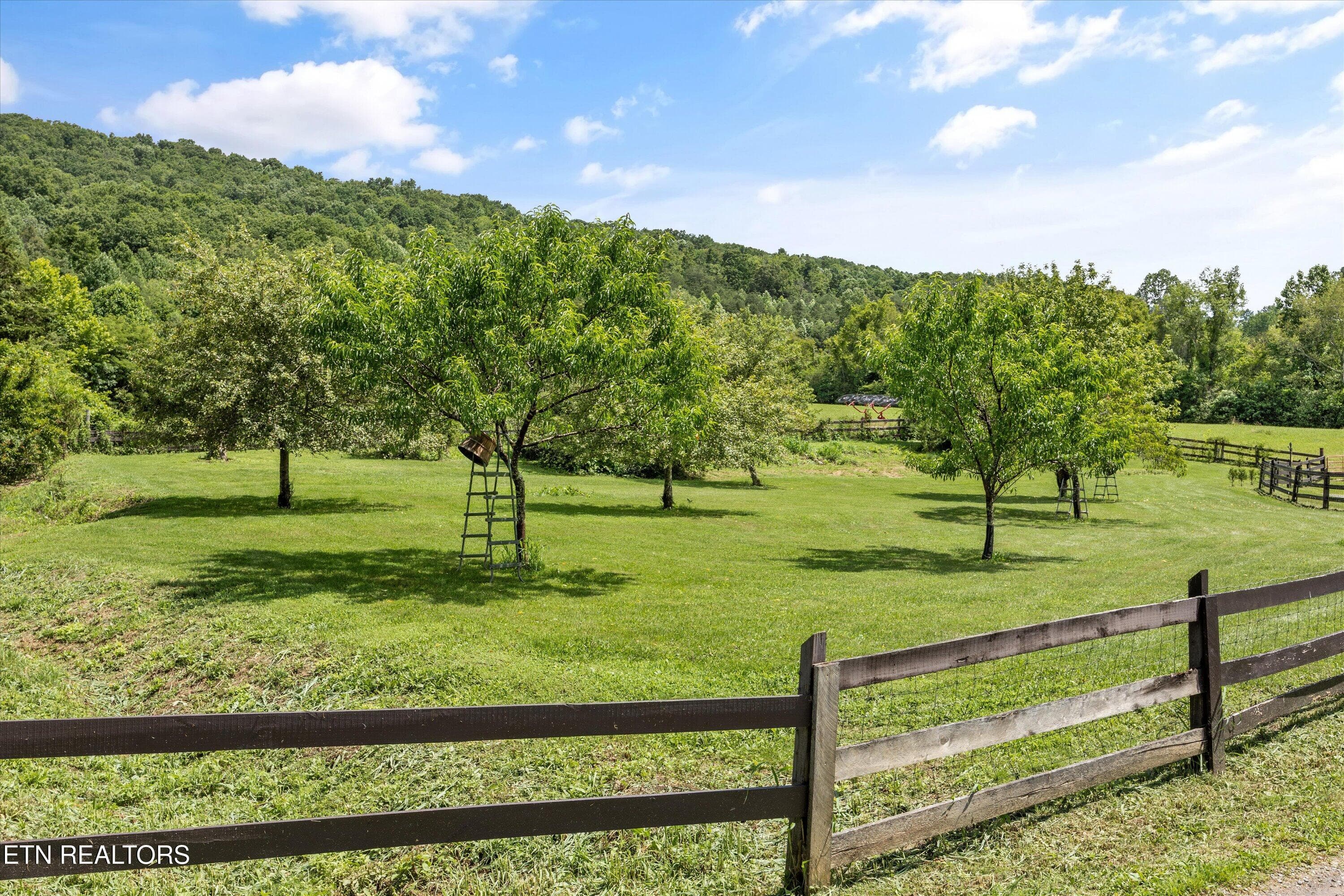 087-518 Buell Rd-092 - 518 Buell Rd, Sneedville, TN 37869