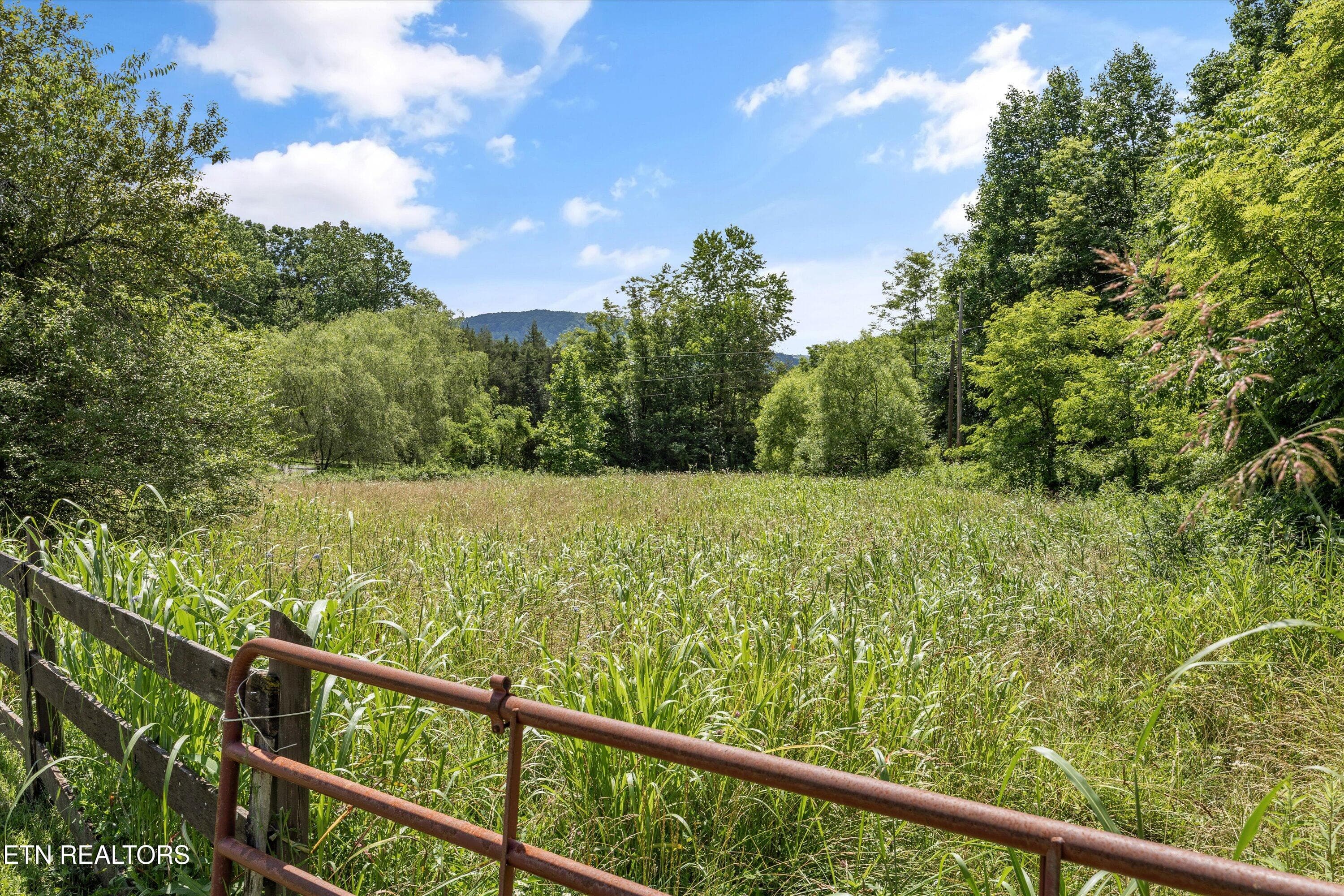 088-518 Buell Rd-093 - 518 Buell Rd, Sneedville, TN 37869