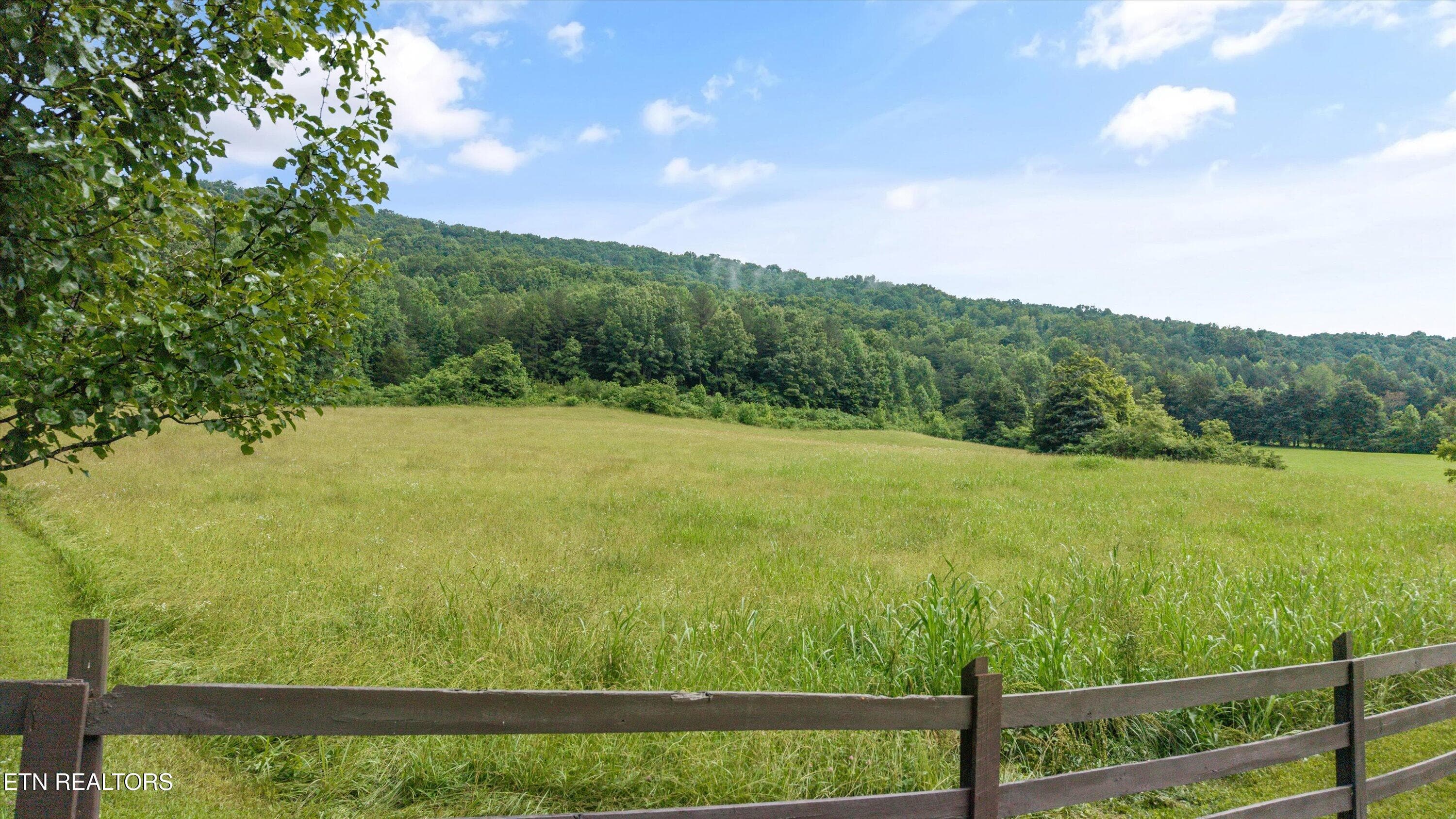 099-518 Buell Rd-013 - 518 Buell Rd, Sneedville, TN 37869