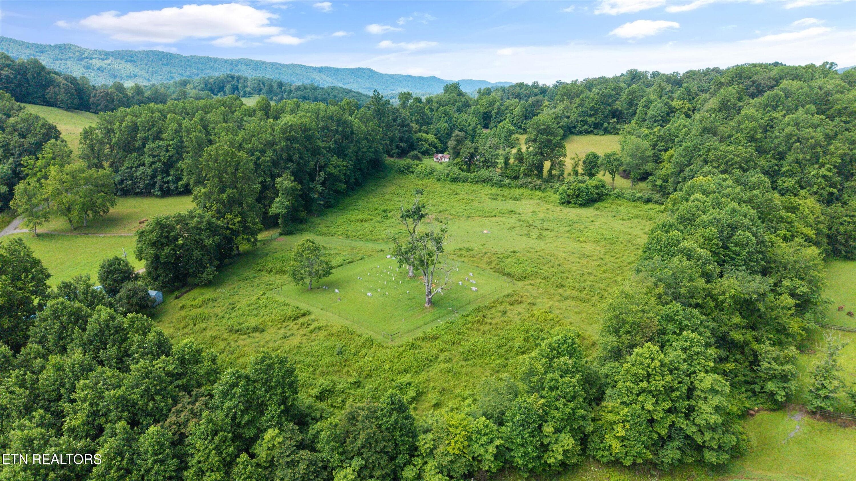 102-518 Buell Rd016 - 518 Buell Rd, Sneedville, TN 37869