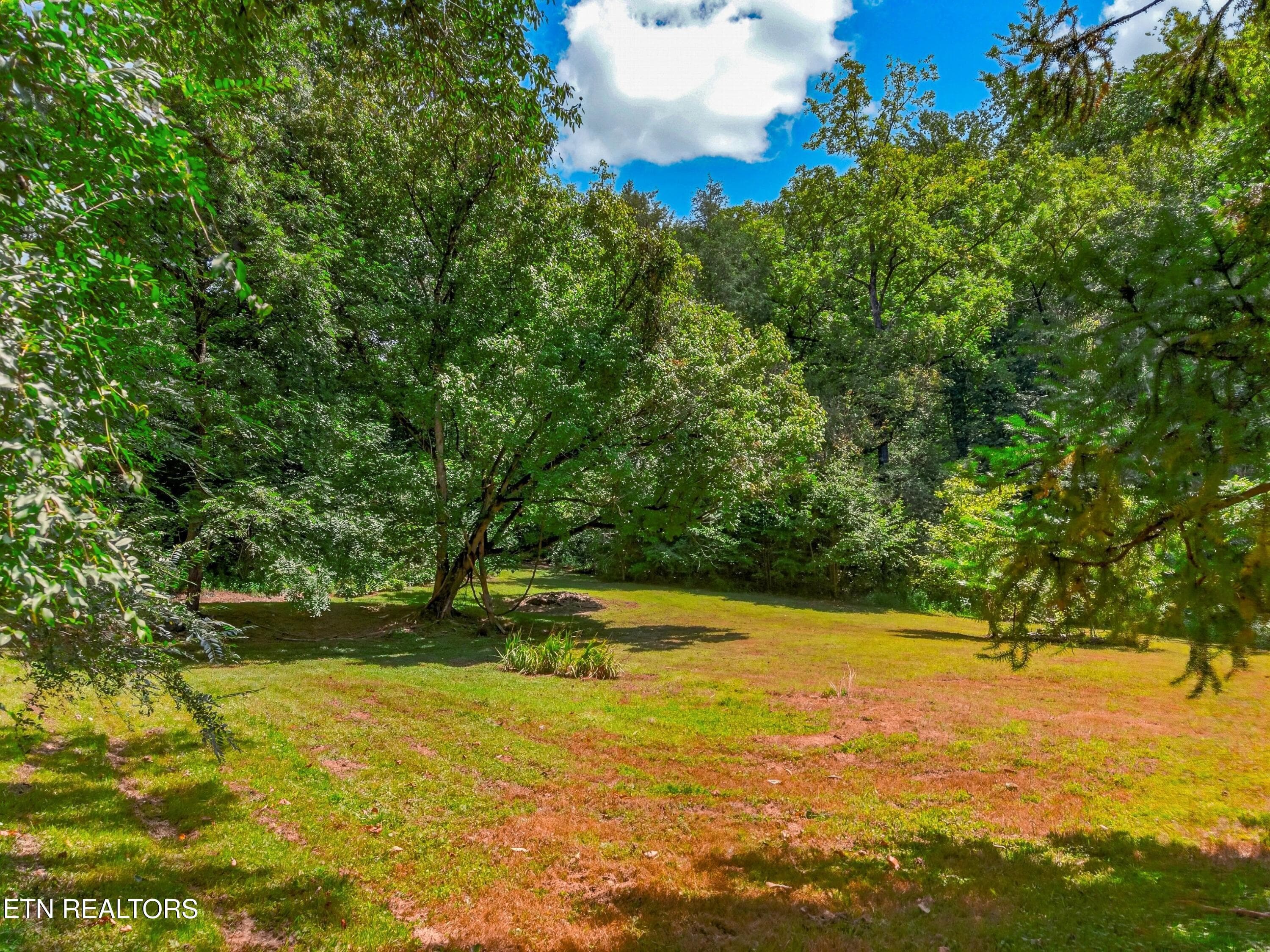 030-264BeechBranchRoad-Gatlinburg-TN-377 - 264 Beech Branch Rd, Gatlinburg, TN 37738, Gatlinburg
