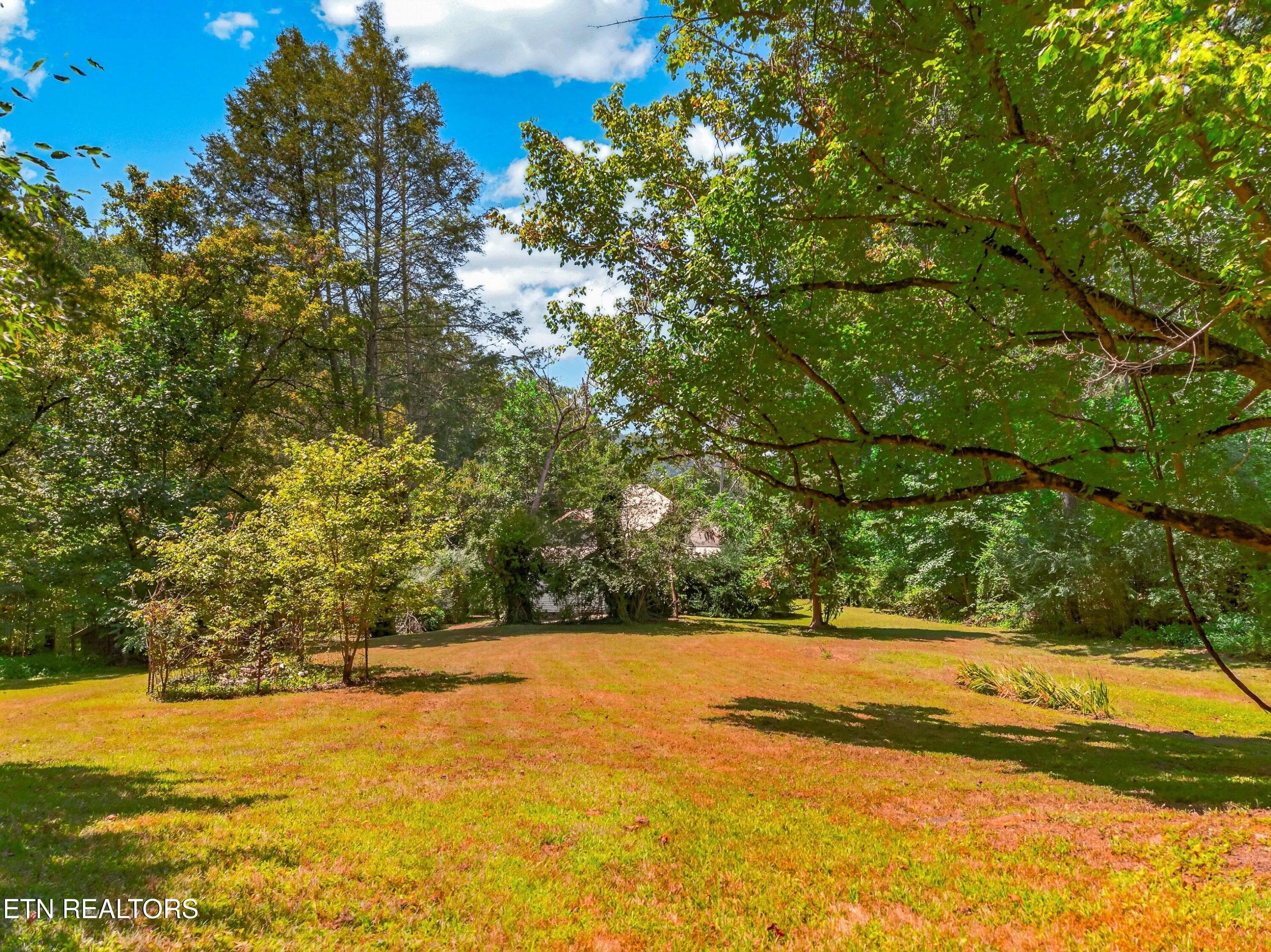 031-264BeechBranchRoad-Gatlinburg-TN-377 - 264 Beech Branch Rd, Gatlinburg, TN 37738, Gatlinburg