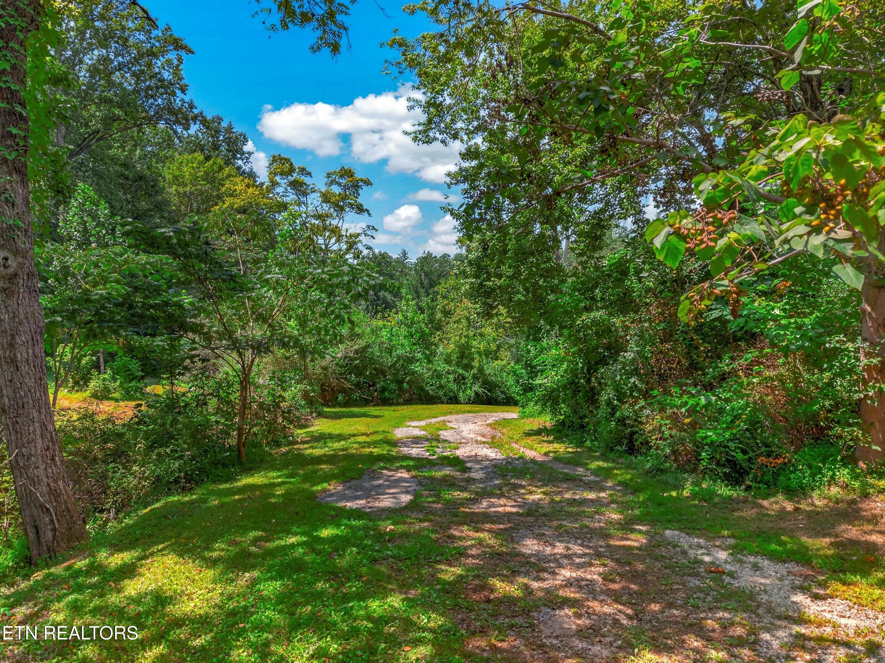 036-264BeechBranchRoad-Gatlinburg-TN-377 - 264 Beech Branch Rd, Gatlinburg, TN 37738, Gatlinburg