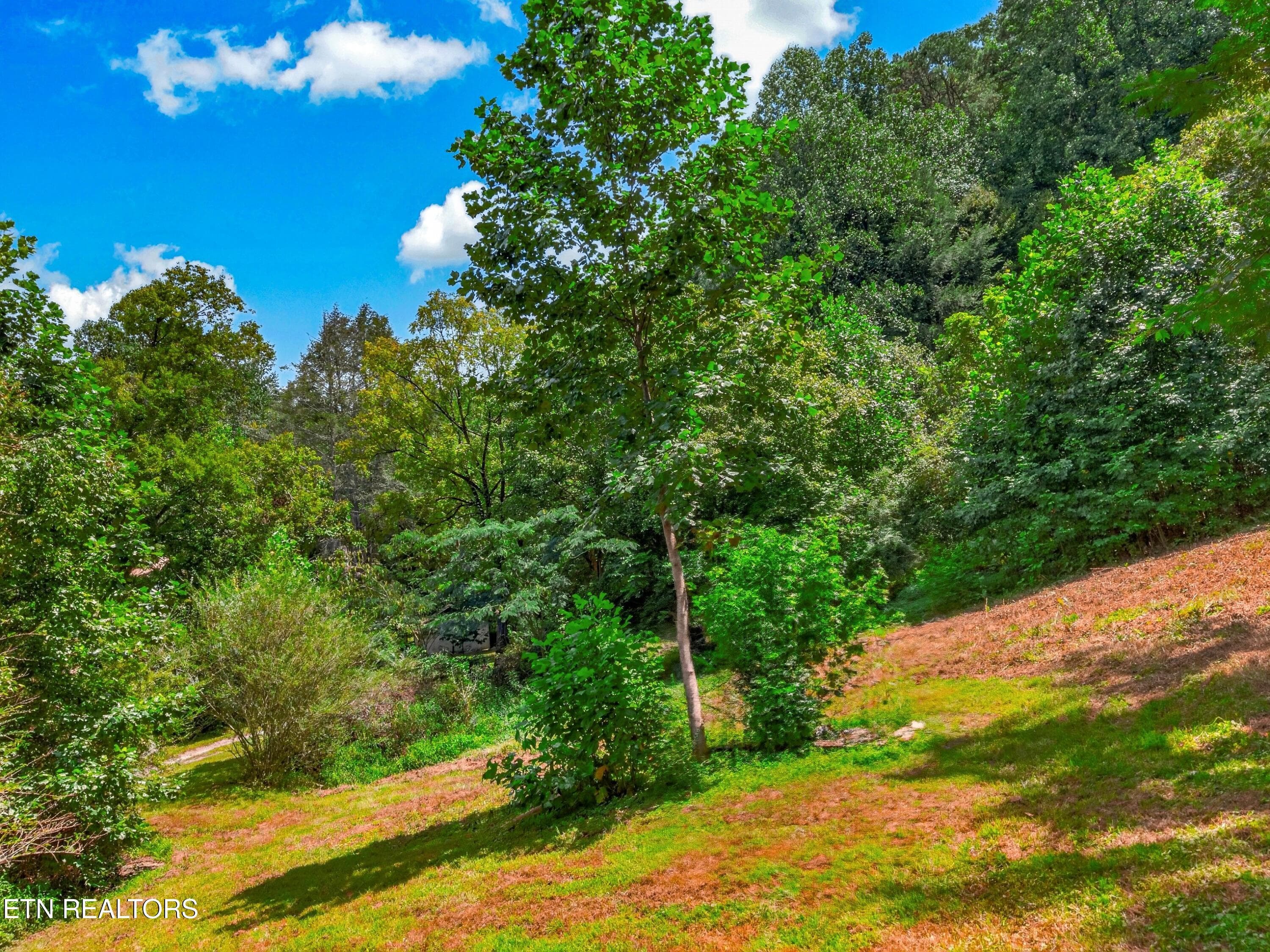 041-264BeechBranchRoad-Gatlinburg-TN-377 - 264 Beech Branch Rd, Gatlinburg, TN 37738, Gatlinburg
