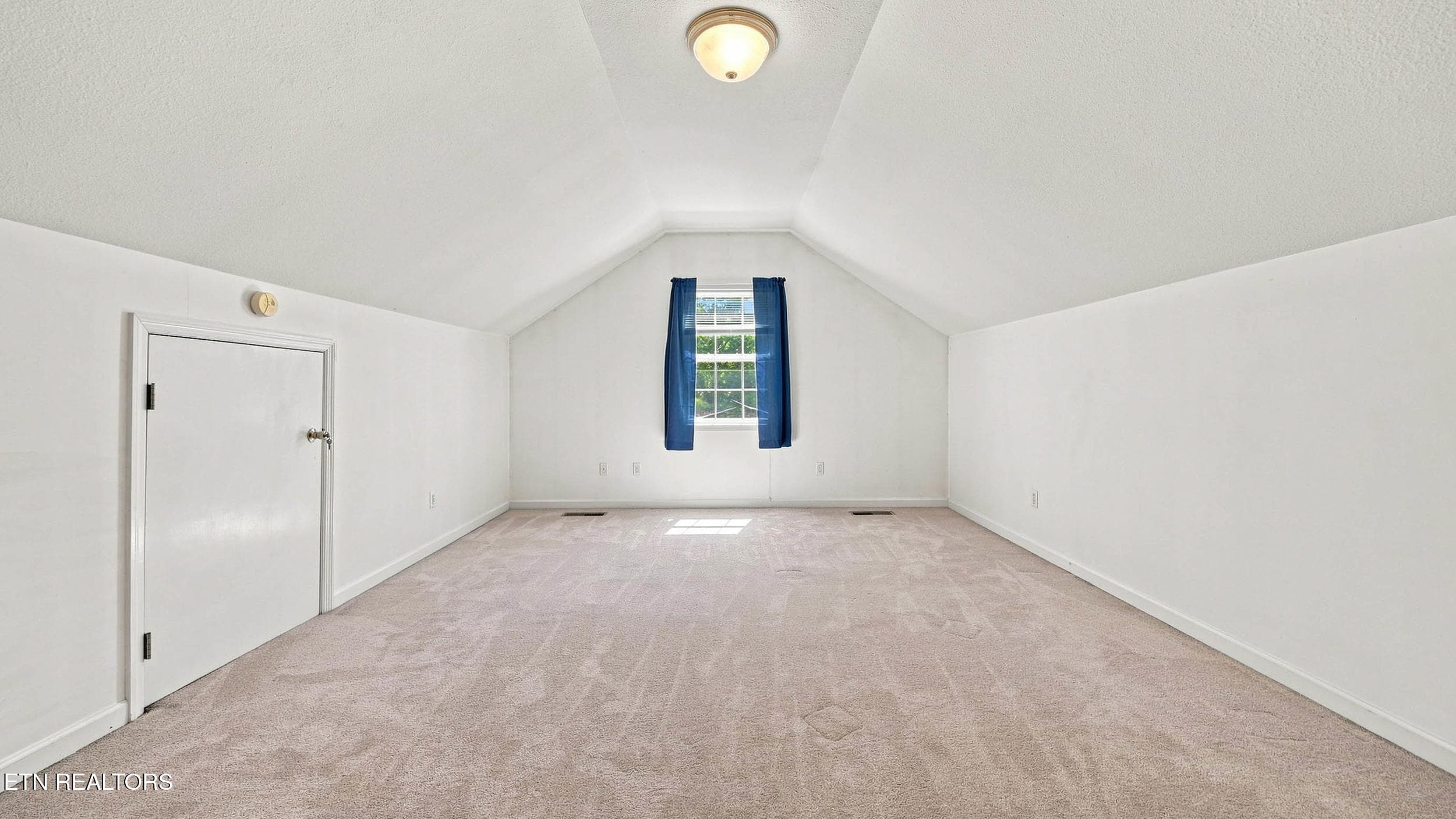 37_820 payne ln-37 - 820 Payne Lane, Spring City, TN 37381, Spring City