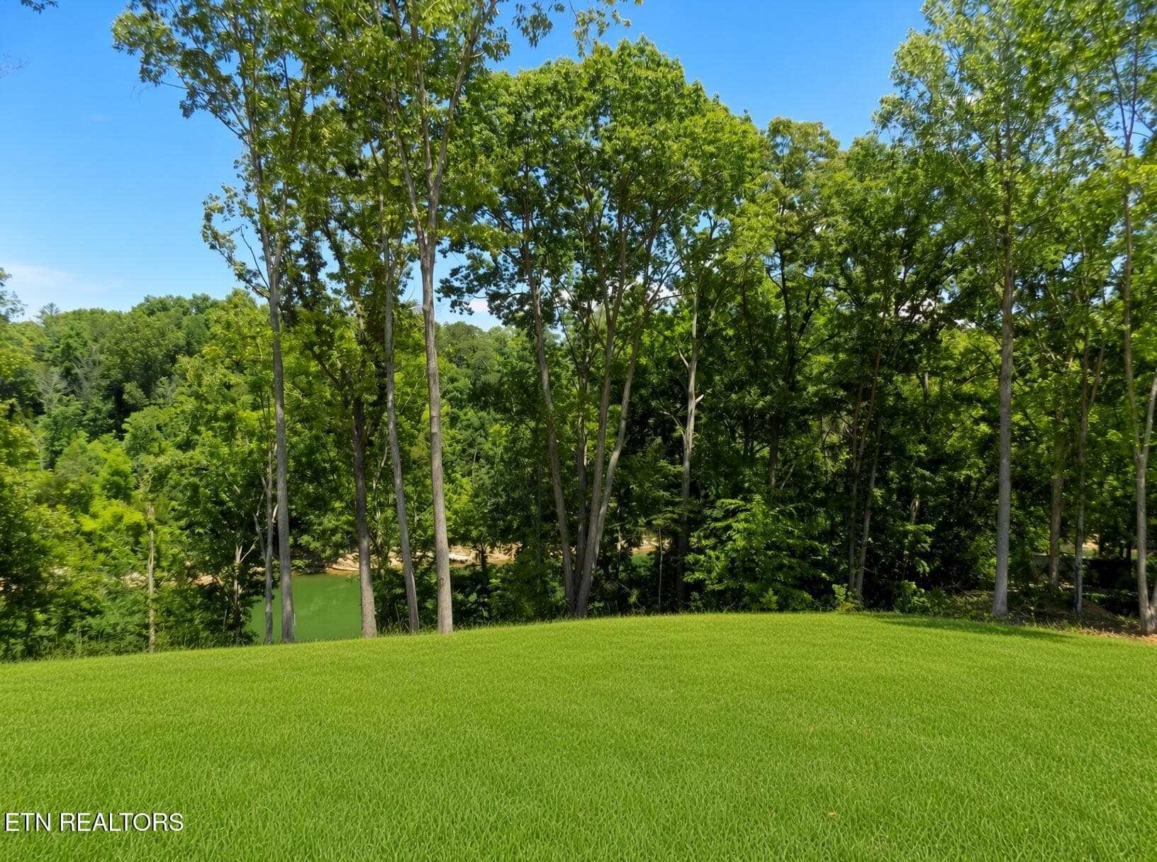 Road Frontage - Lot 13 Shorewood Point, Morristown, TN 37814