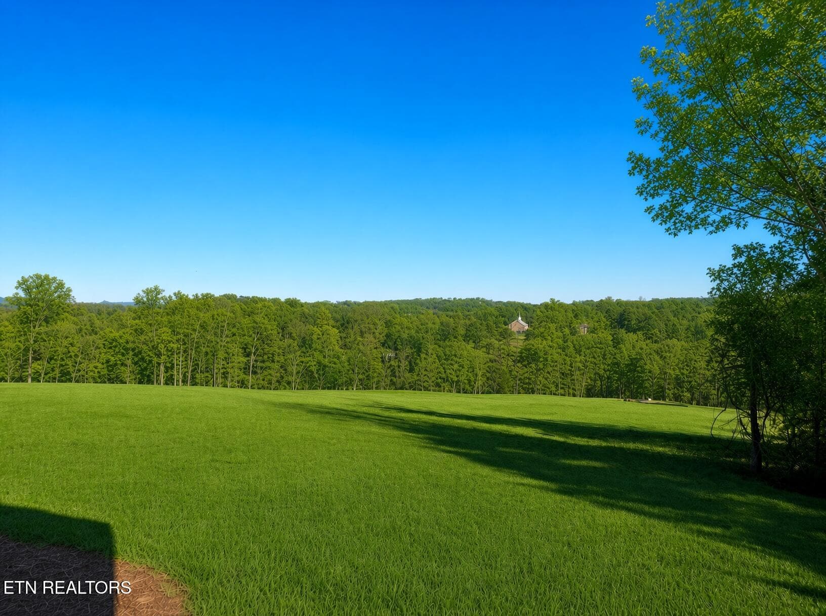 Playground / Dog Park - Lot 13 Shorewood Point, Morristown, TN 37814