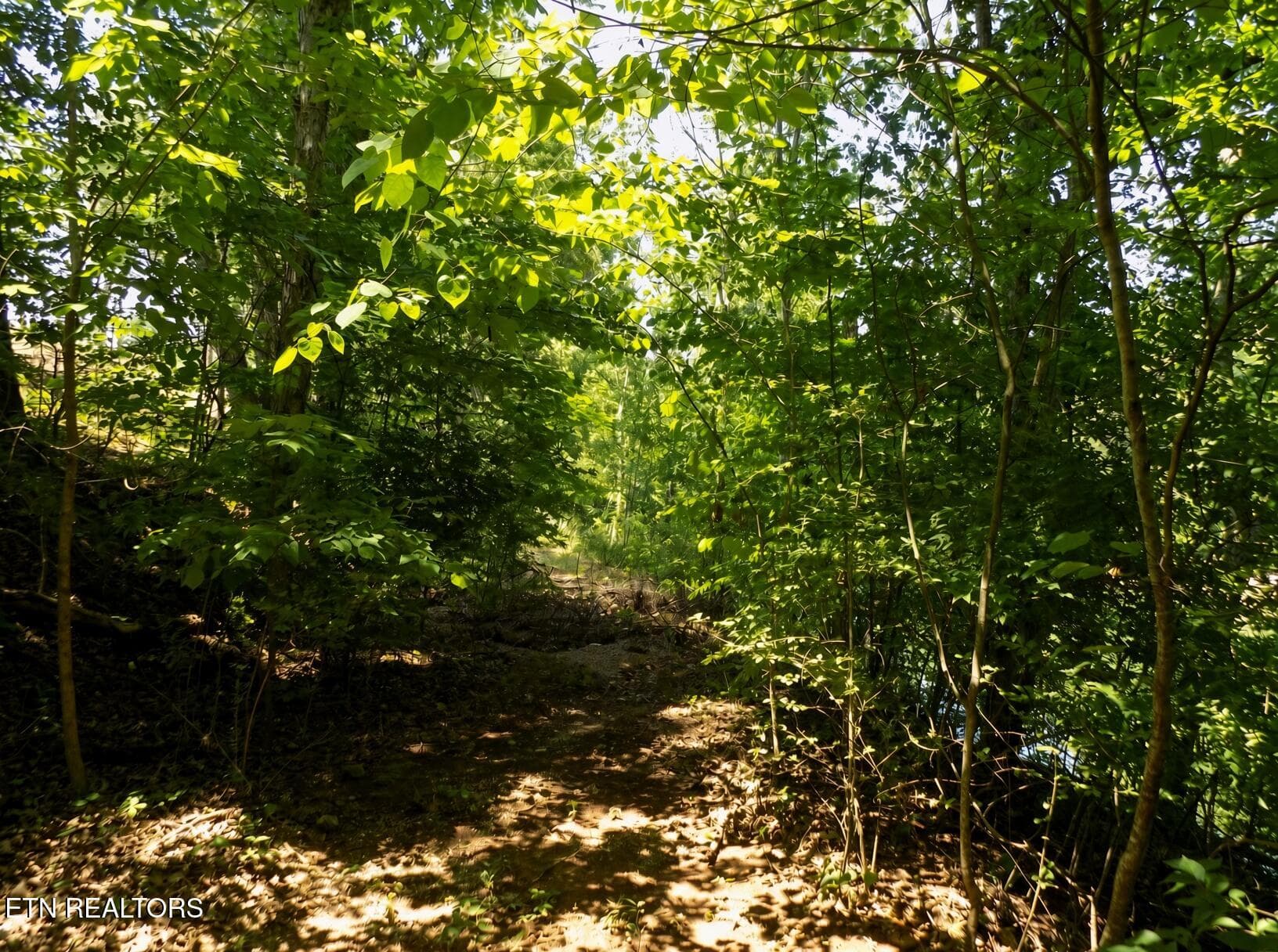 Lot 13 - Lot 13 Shorewood Point, Morristown, TN 37814