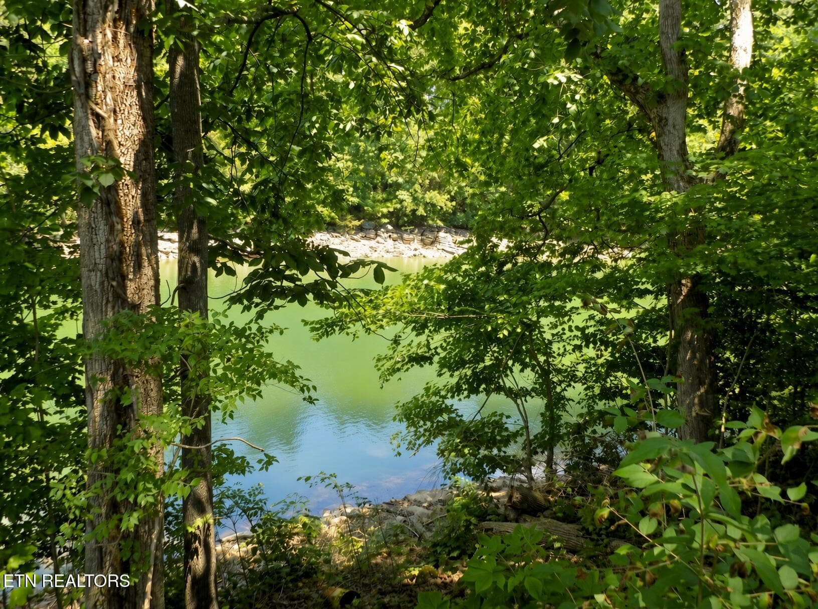 Lot 13 - Lot 13 Shorewood Point, Morristown, TN 37814