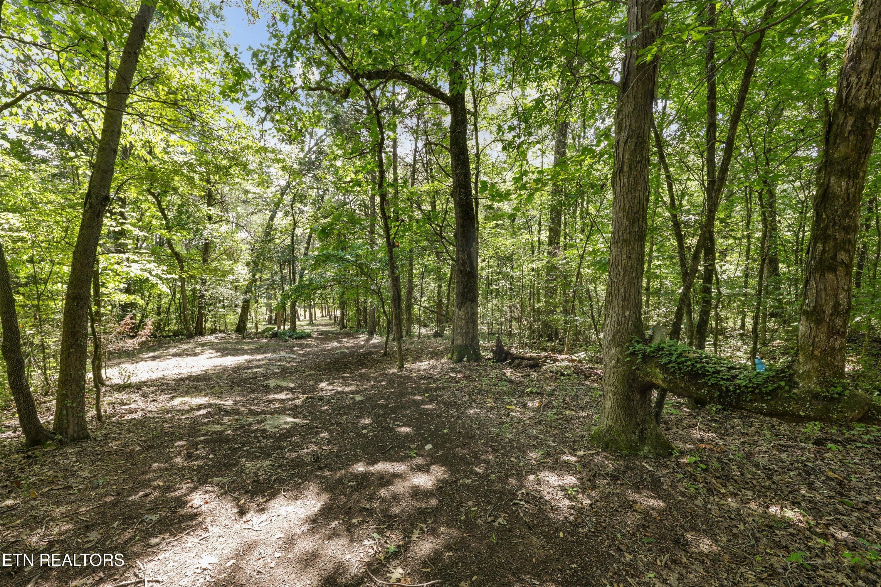 55-3217 Cove Ln 62 - 3217 Cove Lane, Louisville, TN 37777, Louisville
