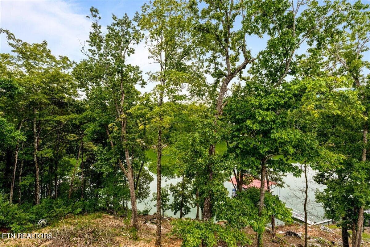 41-112 Bluff Trace - House 2 - 114 Bluff Trace Trace, Jacksboro, TN 37757