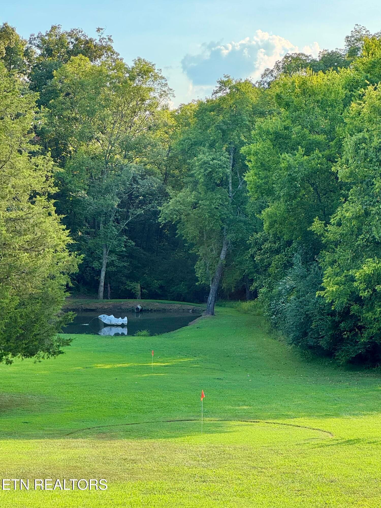 IMG_0880 - 3217 Cove Lane, Louisville, TN 37777, Louisville