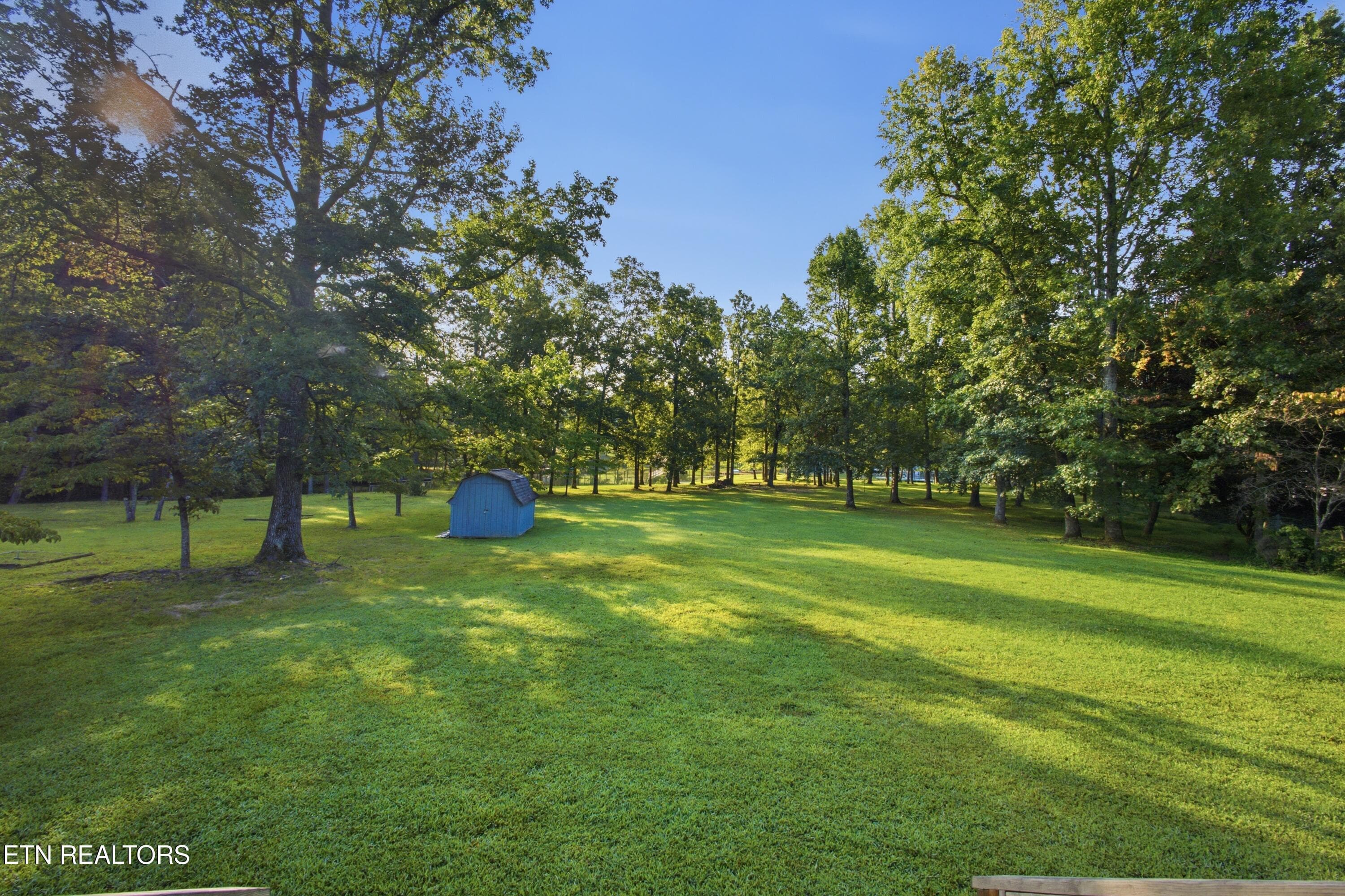 SPOT0381 - 284 Amy Tr, Spring City, TN 37381, Spring City