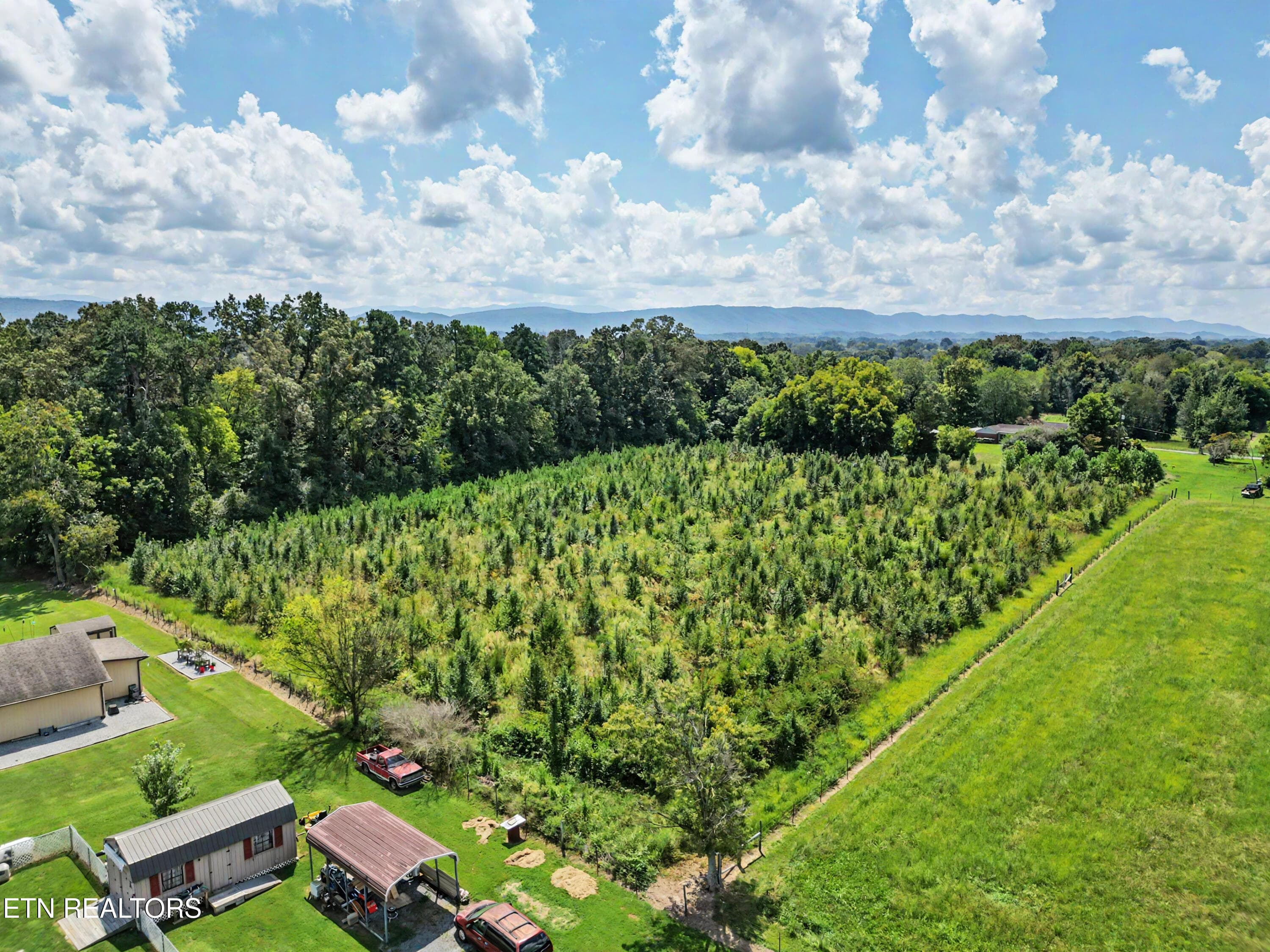 From back of property - 134 Hodges Lane, Maryville, TN 37804