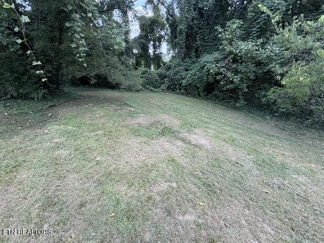 lv16 - 3110 Landview Drive, Knoxville, TN 37914, Knoxville
