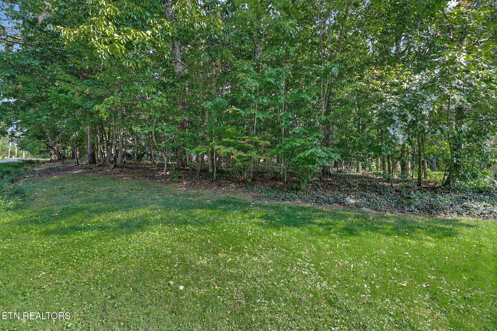Extra lot next door - 163 & 159 Lakeside Drive, Crossville, TN 38558