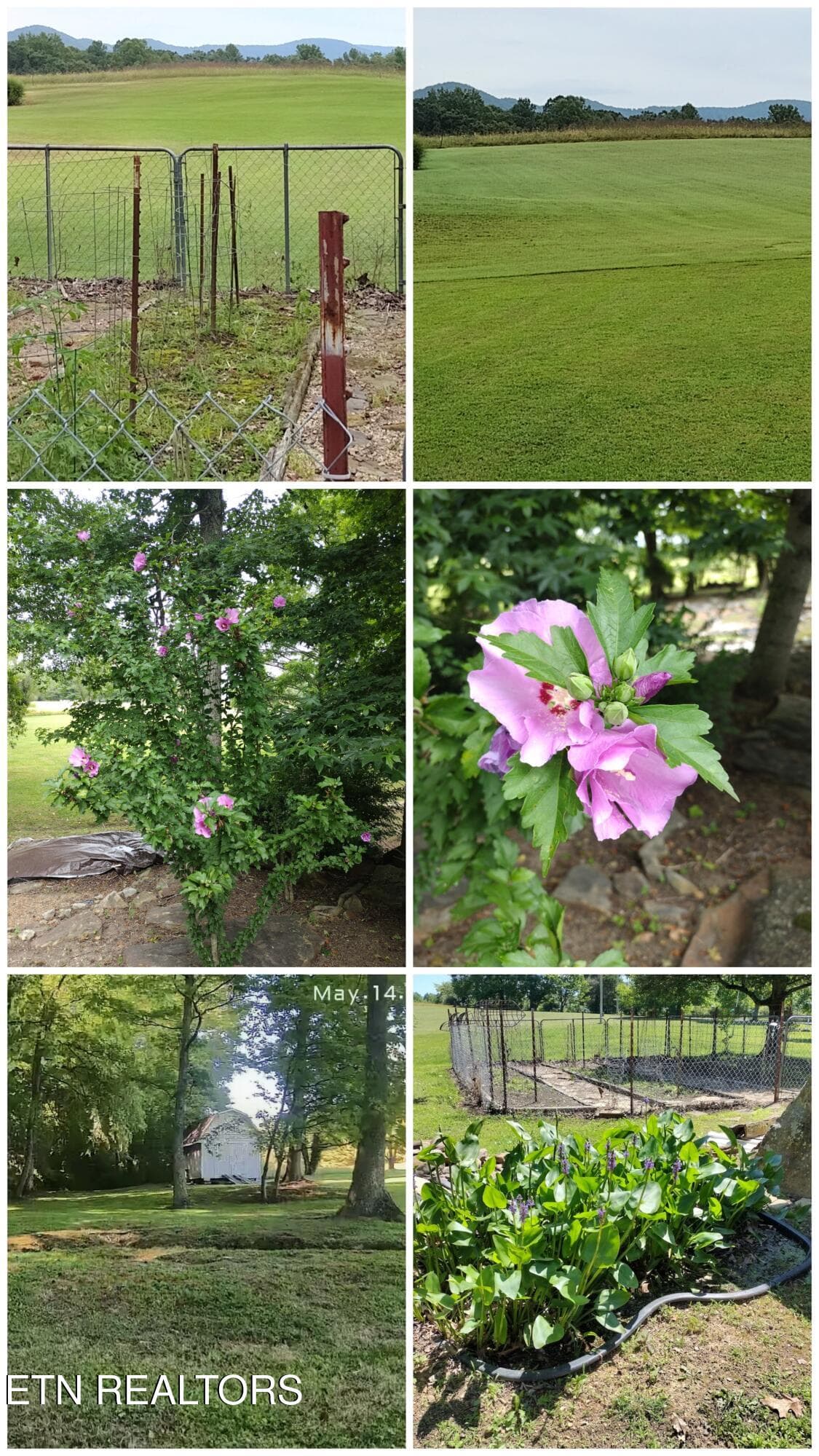 1000004617 - 592 Heidel Rd, Wartburg, TN 37887, Wartburg