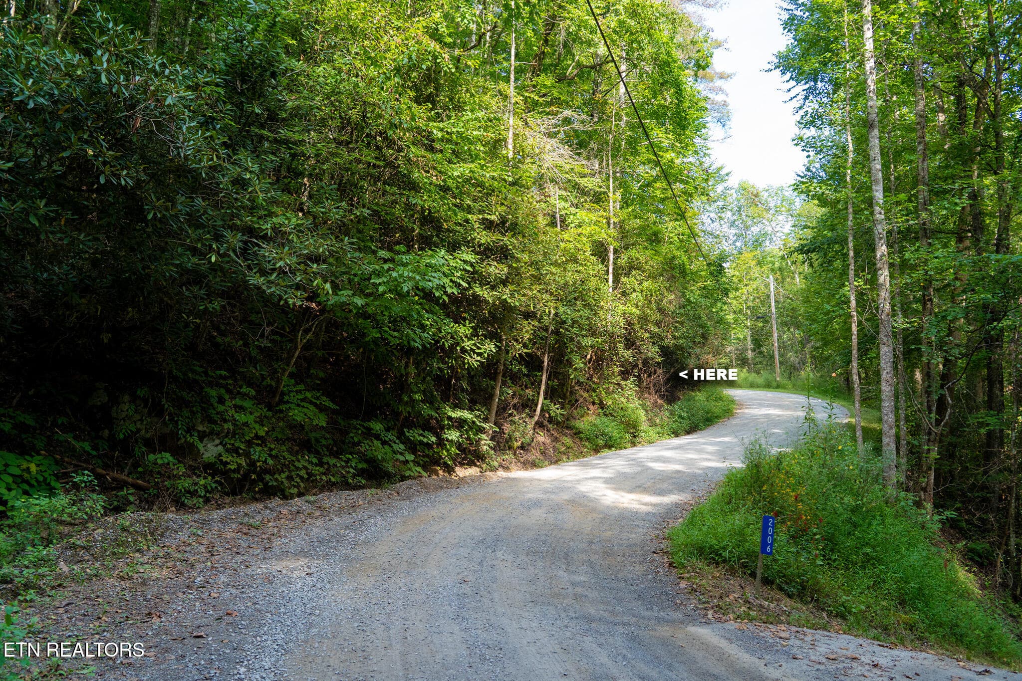 9 - Chilhowee Loop, Walland, TN 37886