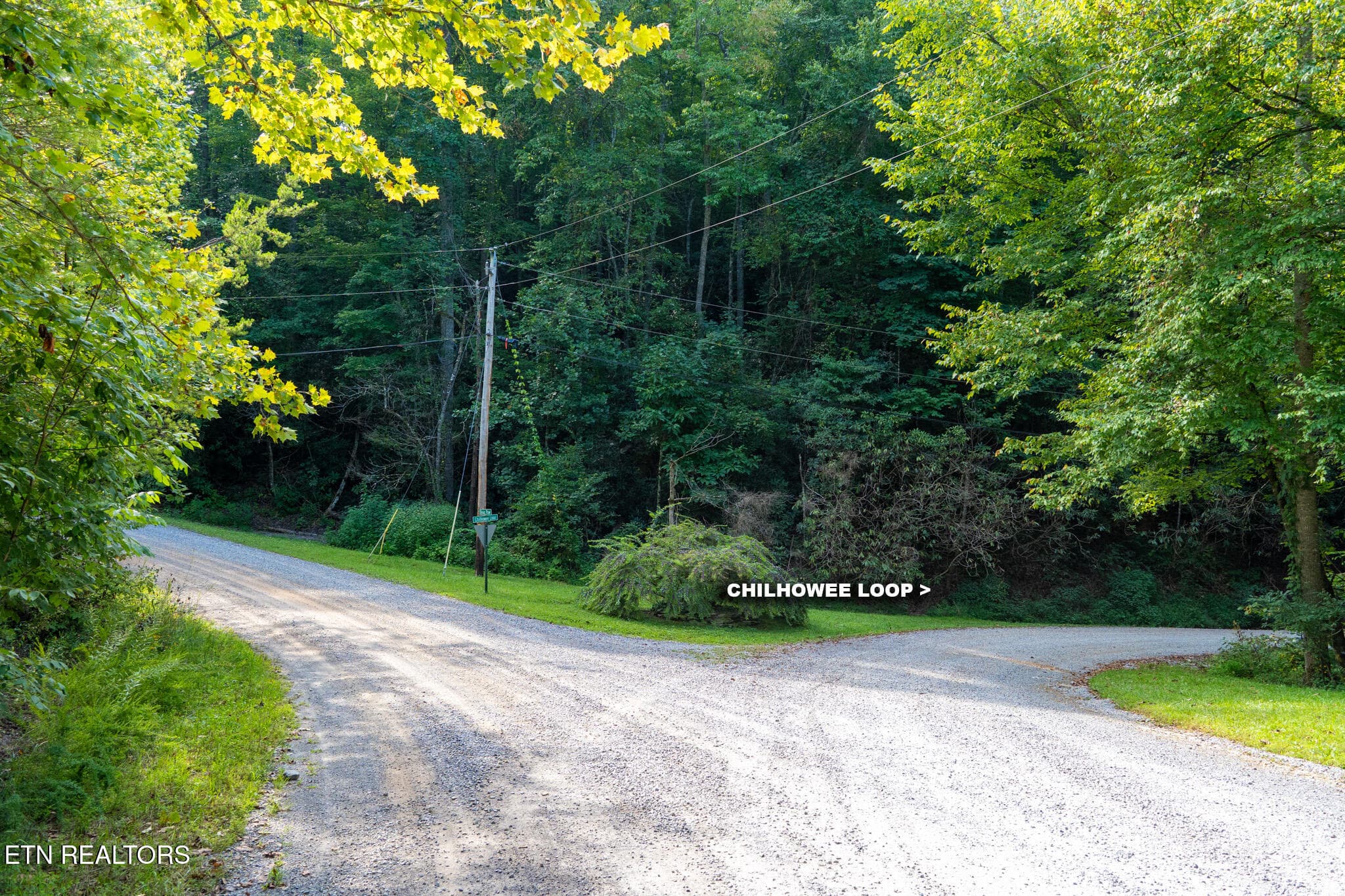 10 - Chilhowee Loop, Walland, TN 37886