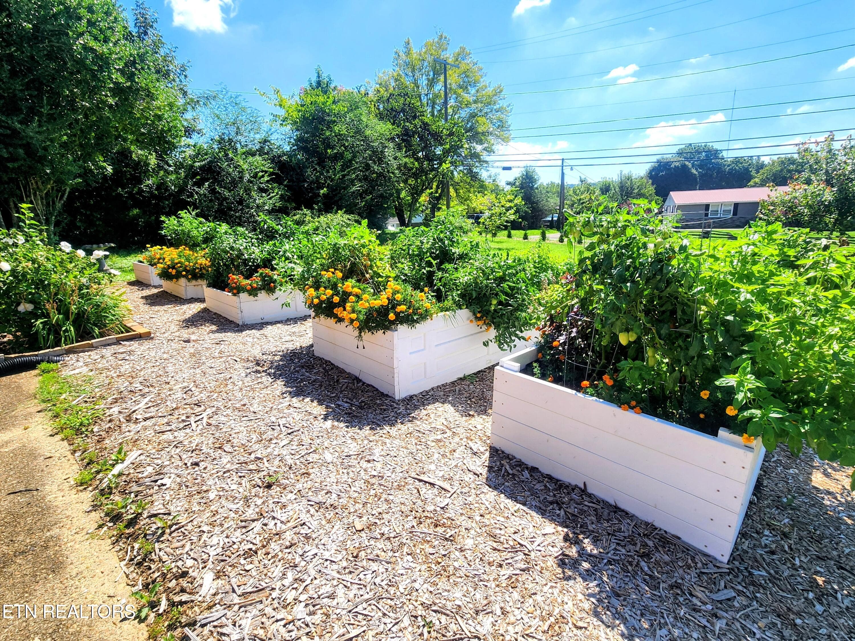 Beautiful raised bed - 1701 Highland Drive, Knoxville, TN 37918, Knoxville
