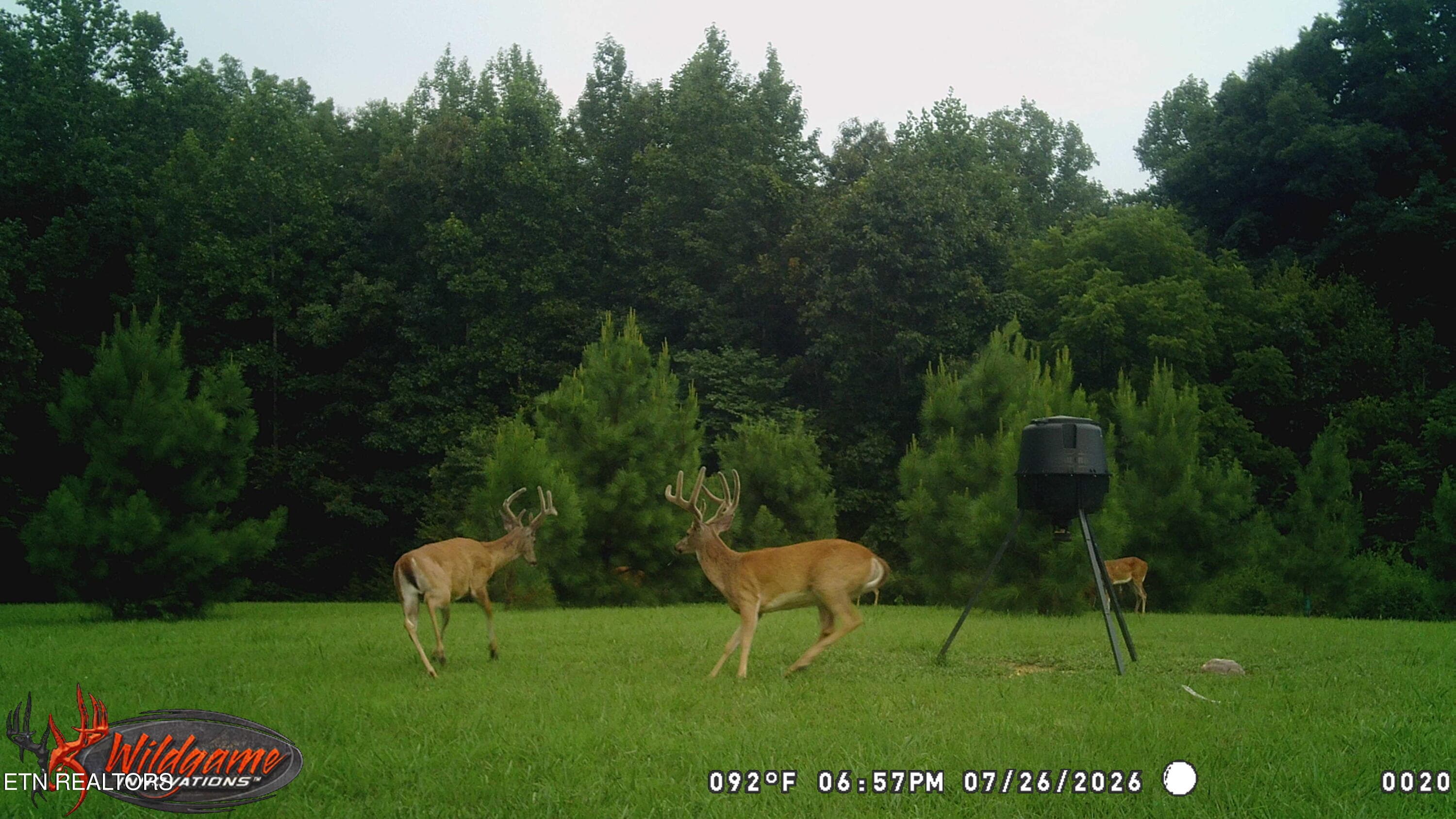 A8422825-938C-4C54-95A3-6F4A55DB90BD - 160 Turkey Ridge Rd, Big Rock, TN 37023