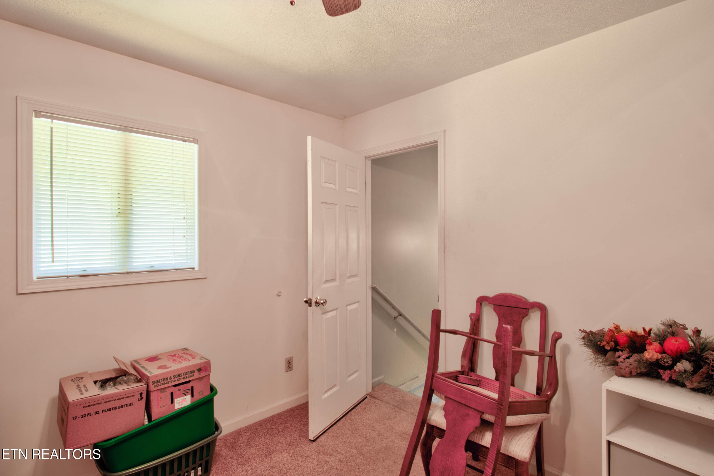 5.8 Basement Access - 110 Rankin Hill Rd, Newport, TN 37821