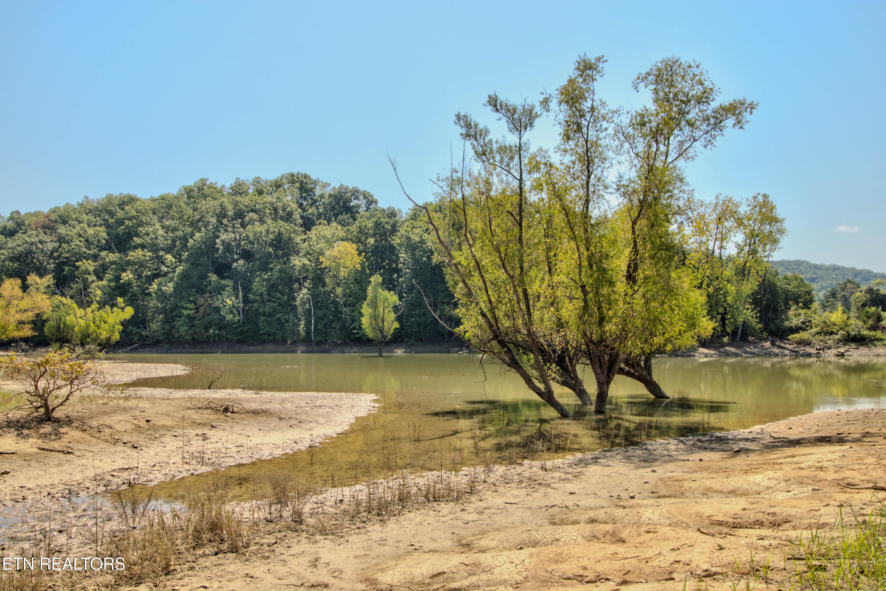 8.12 15 acre Parcel - 110 Rankin Hill Rd, Newport, TN 37821