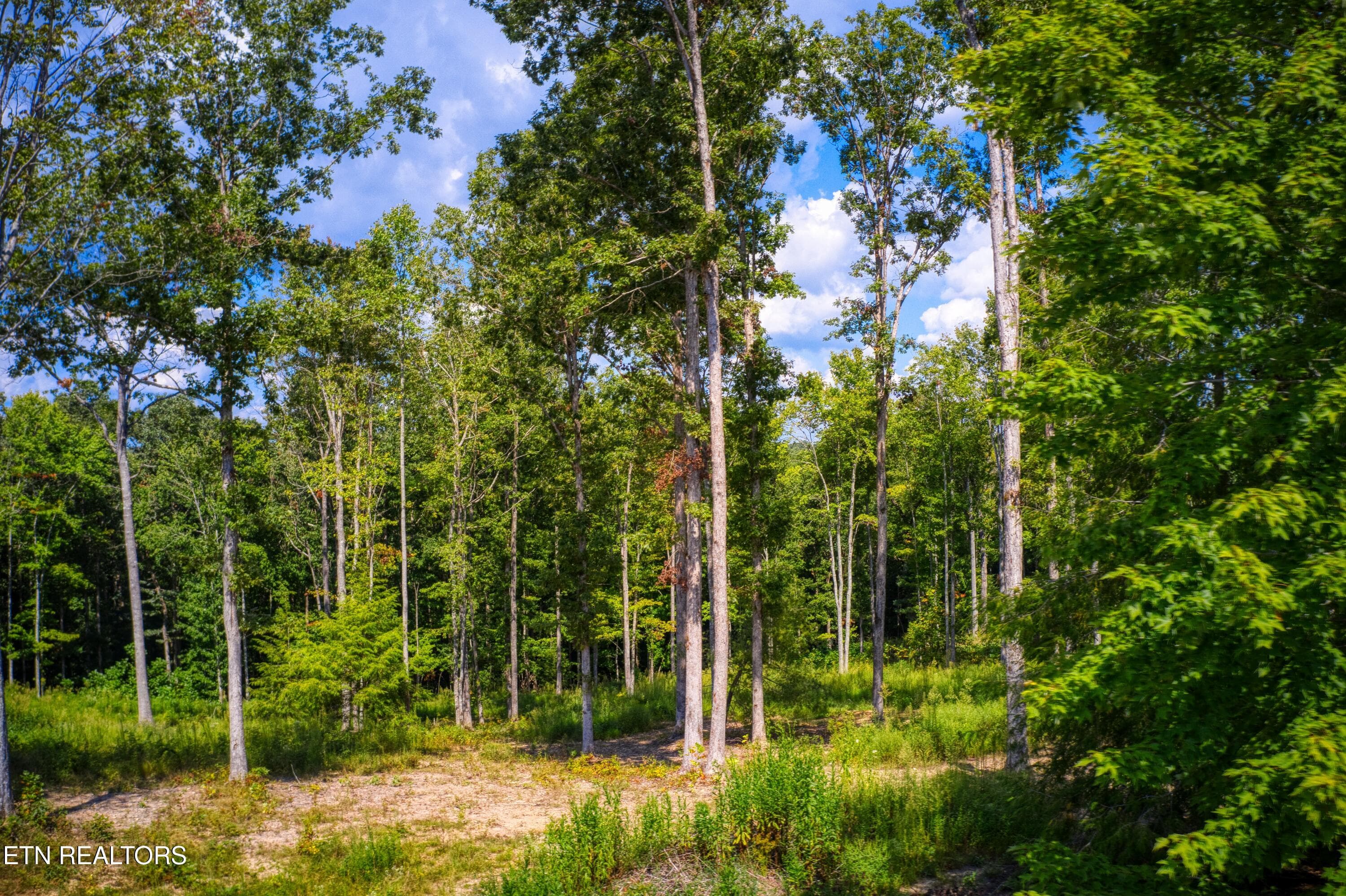 DJI_0381 - 706 End Of Trail Lane, Allardt, TN 38504