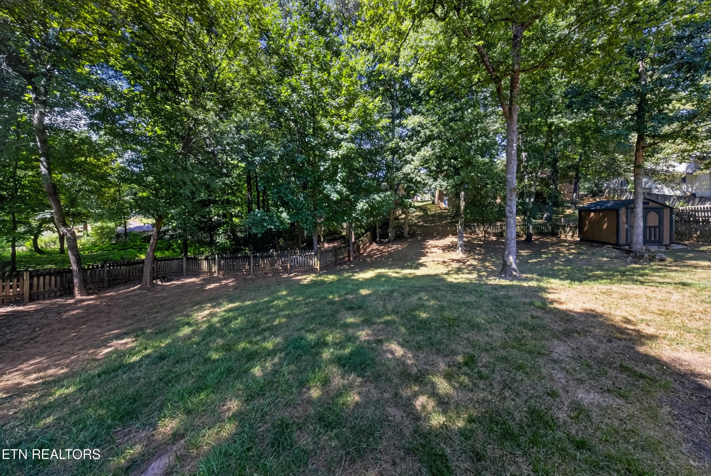 Back Yard - 8821 Nubbin Ridge Rd, Knoxville, TN 37923