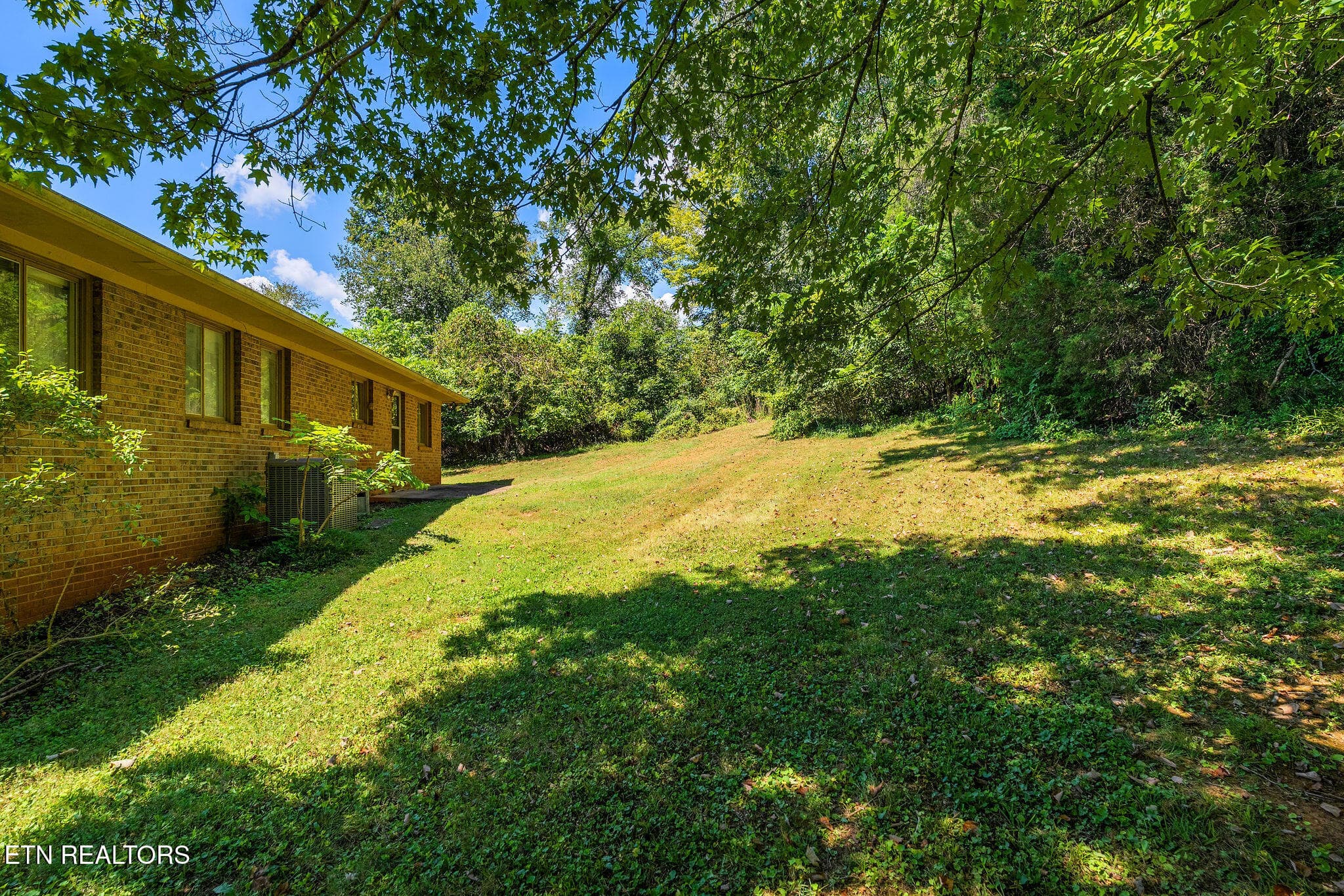 Back yard - 220 Brookfield Drive, Kingsport, TN 37663, Kingsport