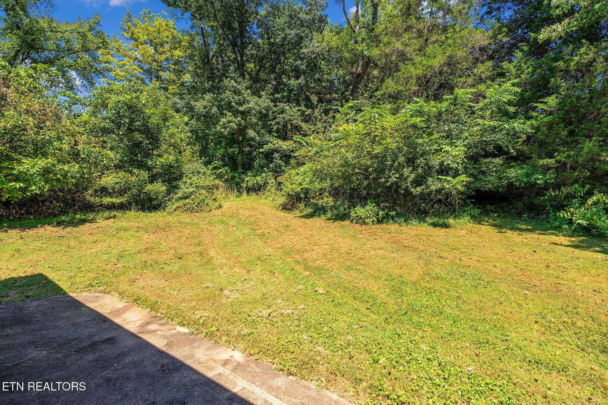 Back Yard - 220 Brookfield Drive, Kingsport, TN 37663, Kingsport