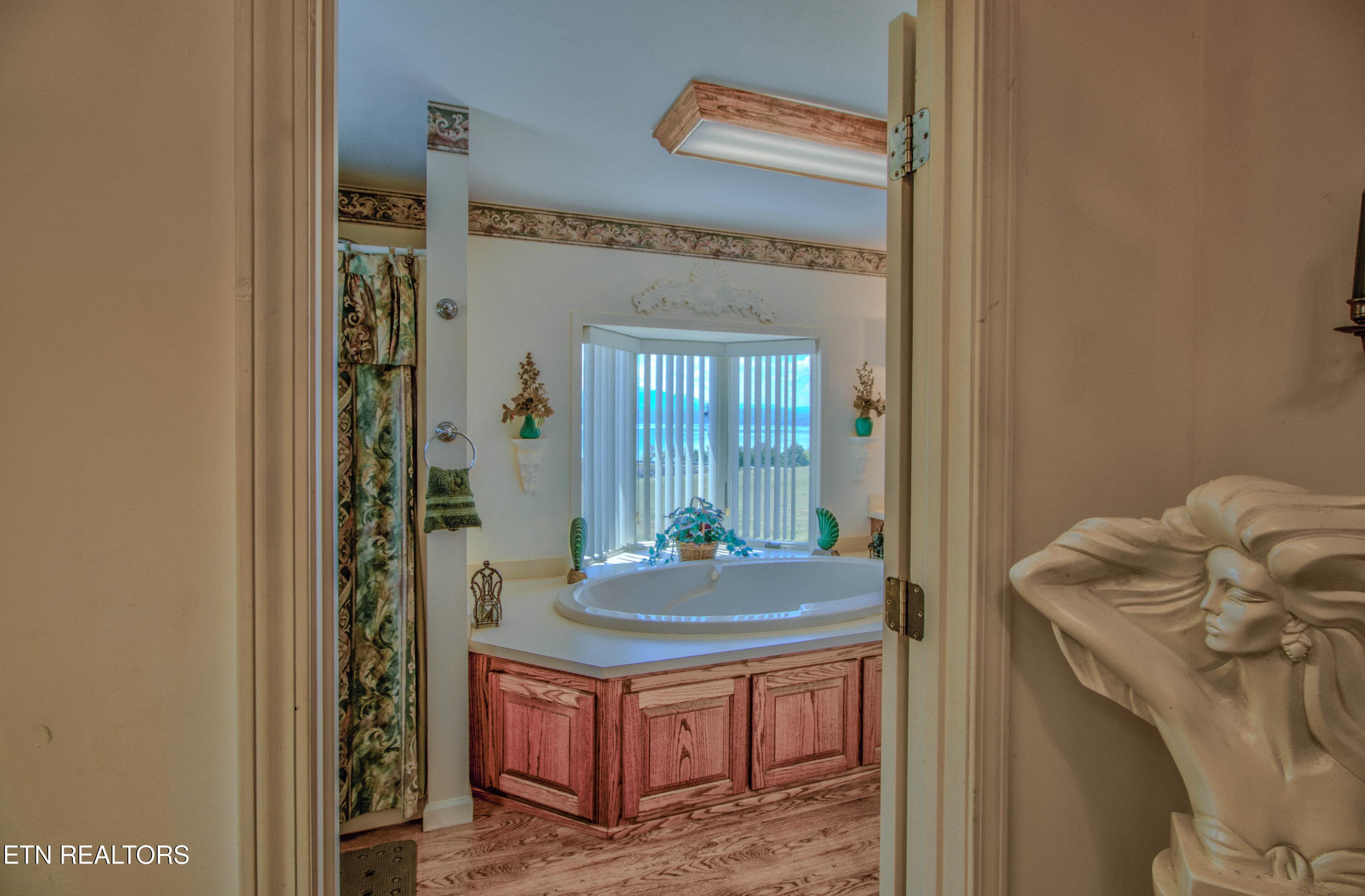 5.1 Master Bath Jetted Tub with Mountain - 110 Rankin Hill Rd, Newport, TN 37821