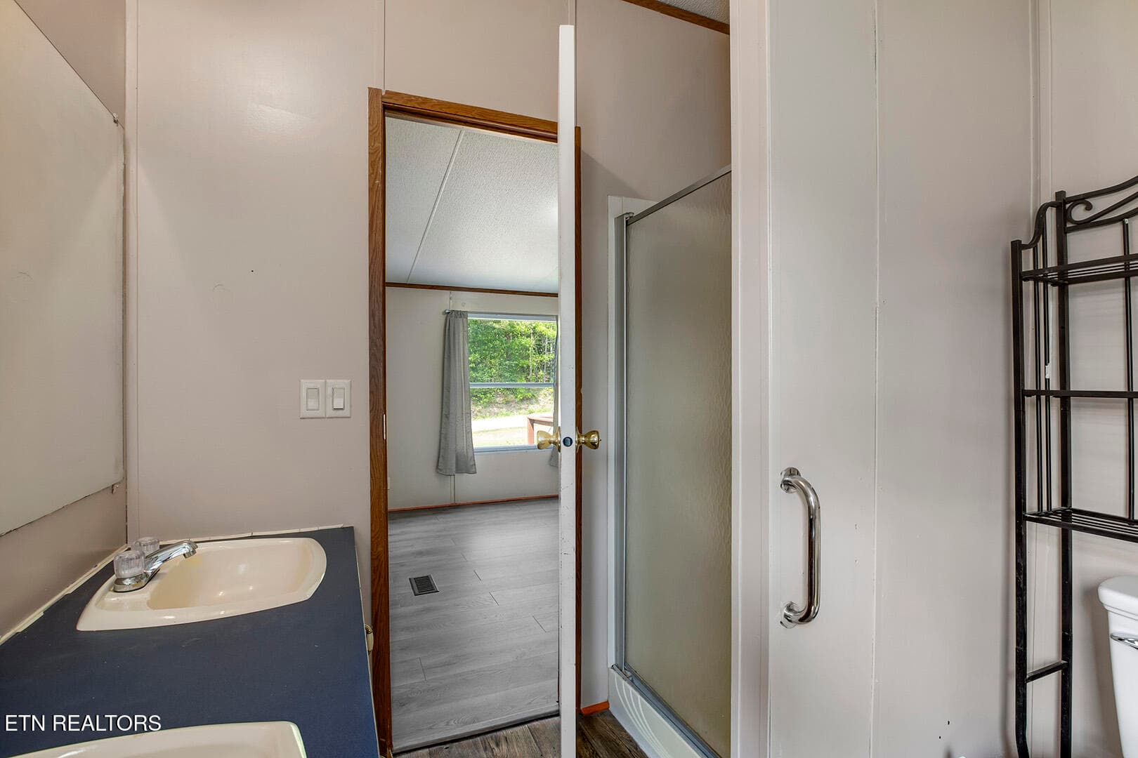20_EucheeRoad_1725_MasterBath02 - 1725 Euchee Rd, Ten Mile, TN 37880
